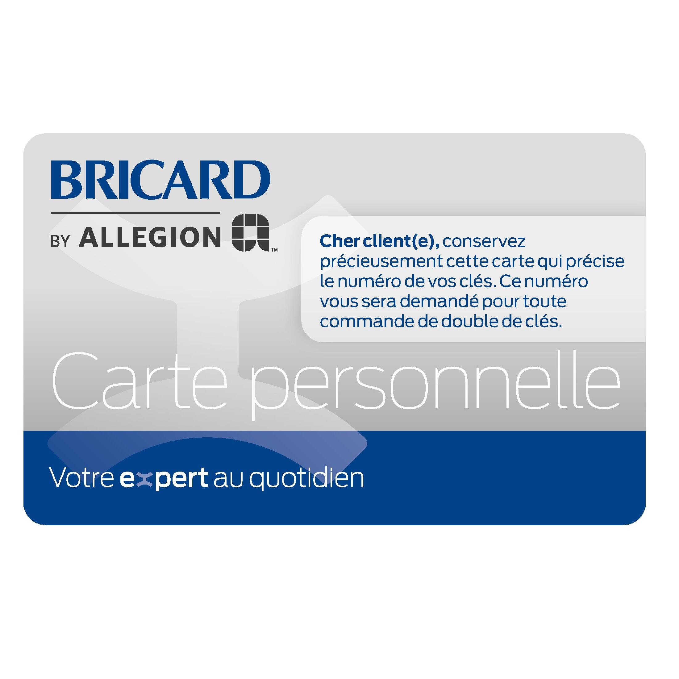 Cylindre de serrure BRICARD Astral débrayable L.30 + 40mm 5 clés - 5