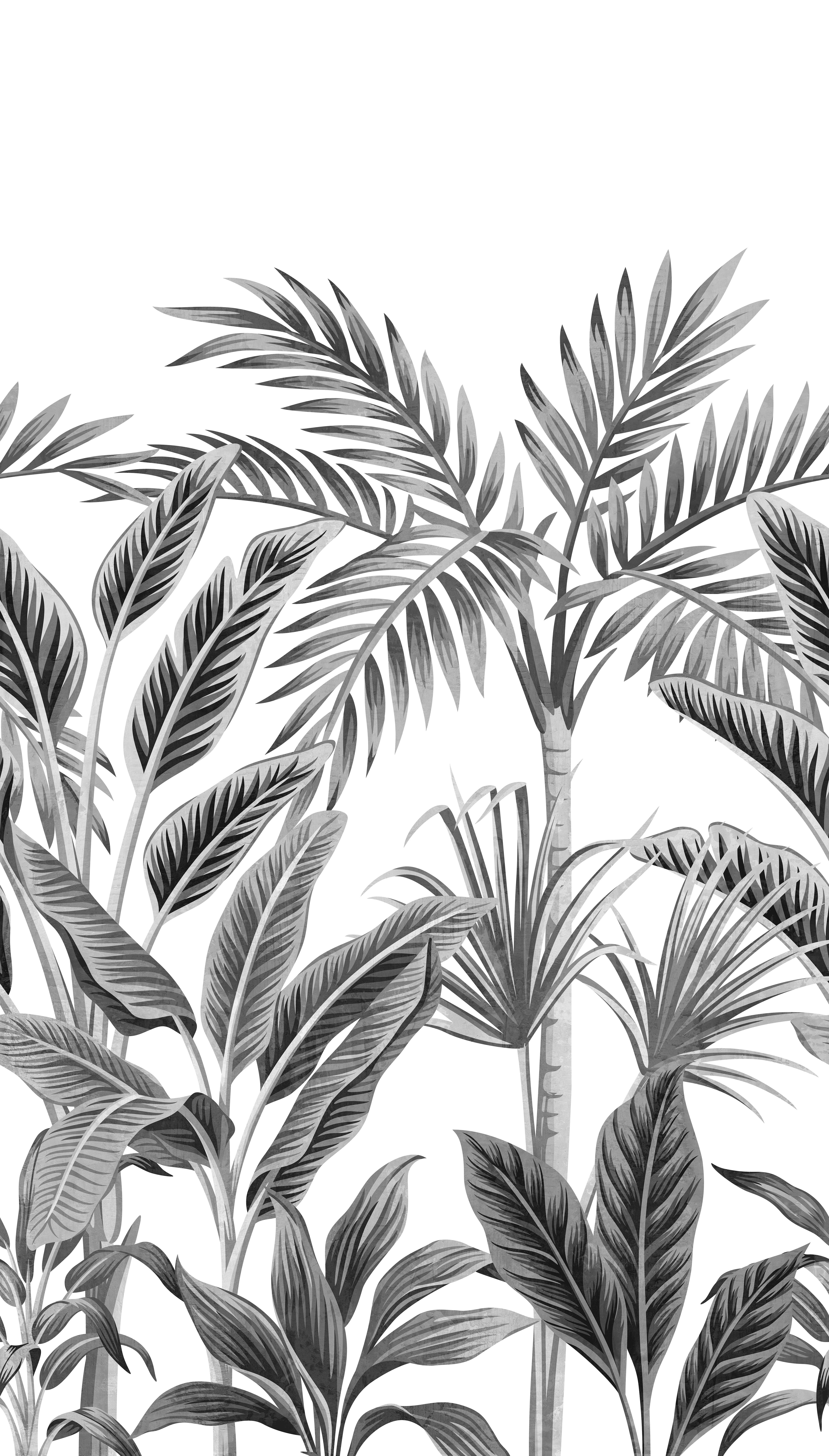 Papier peint panoramique Motif tropical forest blanc et noir l.159 x H.280 cm - 2
