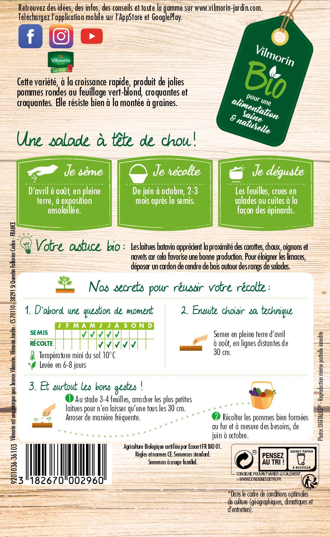 Graines de laitue iceberg bio VILMORIN 2 g - 2