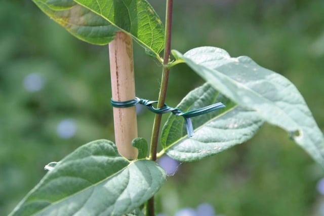 Ficelle acier vert, longueur 0.15 m INTERMAS