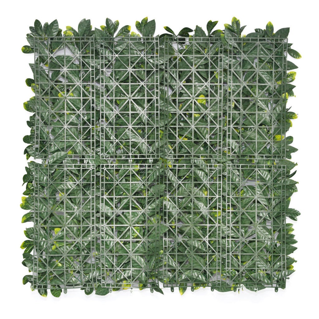 Mur végétal artificiel laurier, H.1 x L.1 m, FRANCE GREEN - 2
