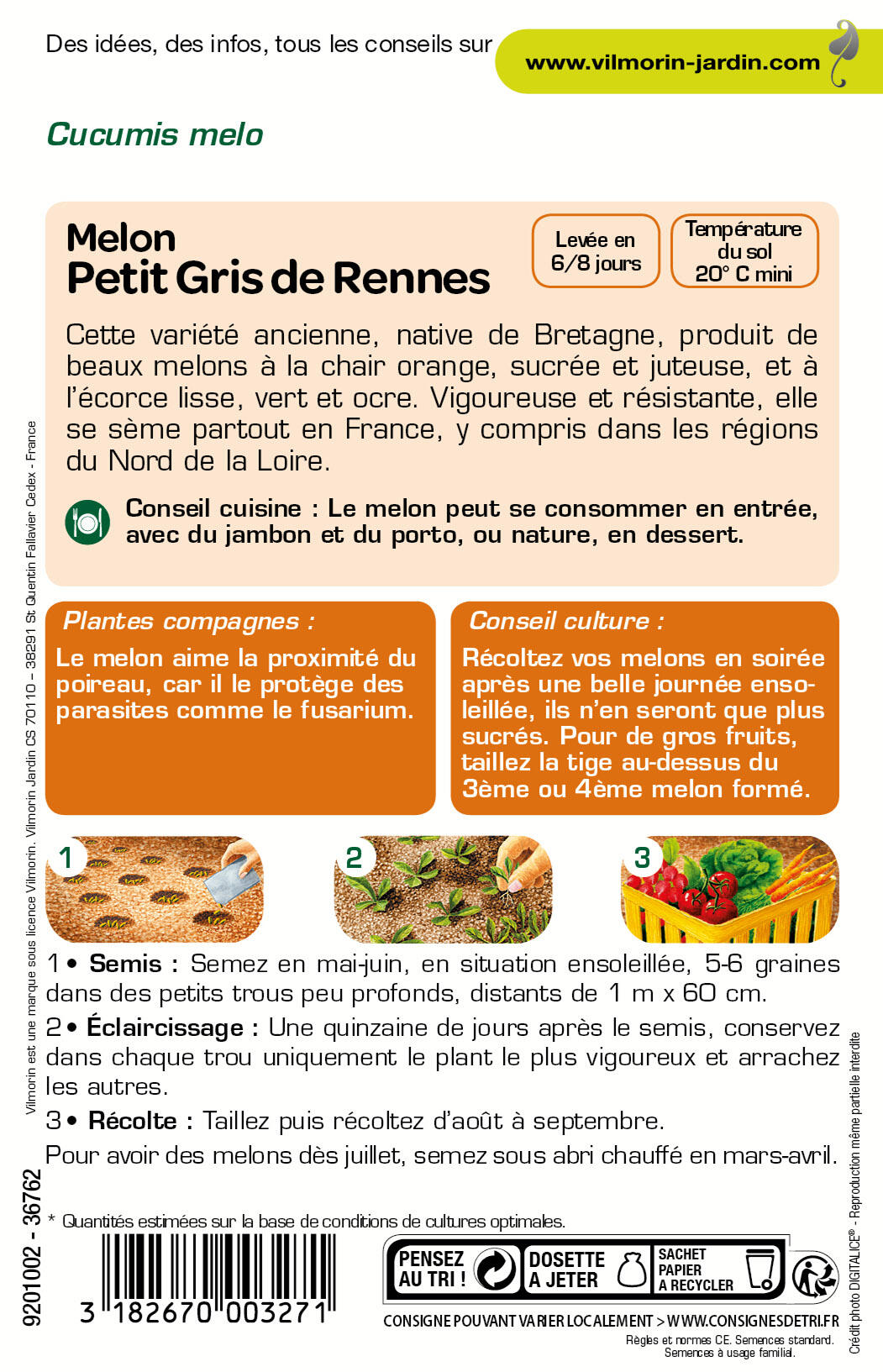 Graines de melon petit gris VILMORIN 3 g - 2