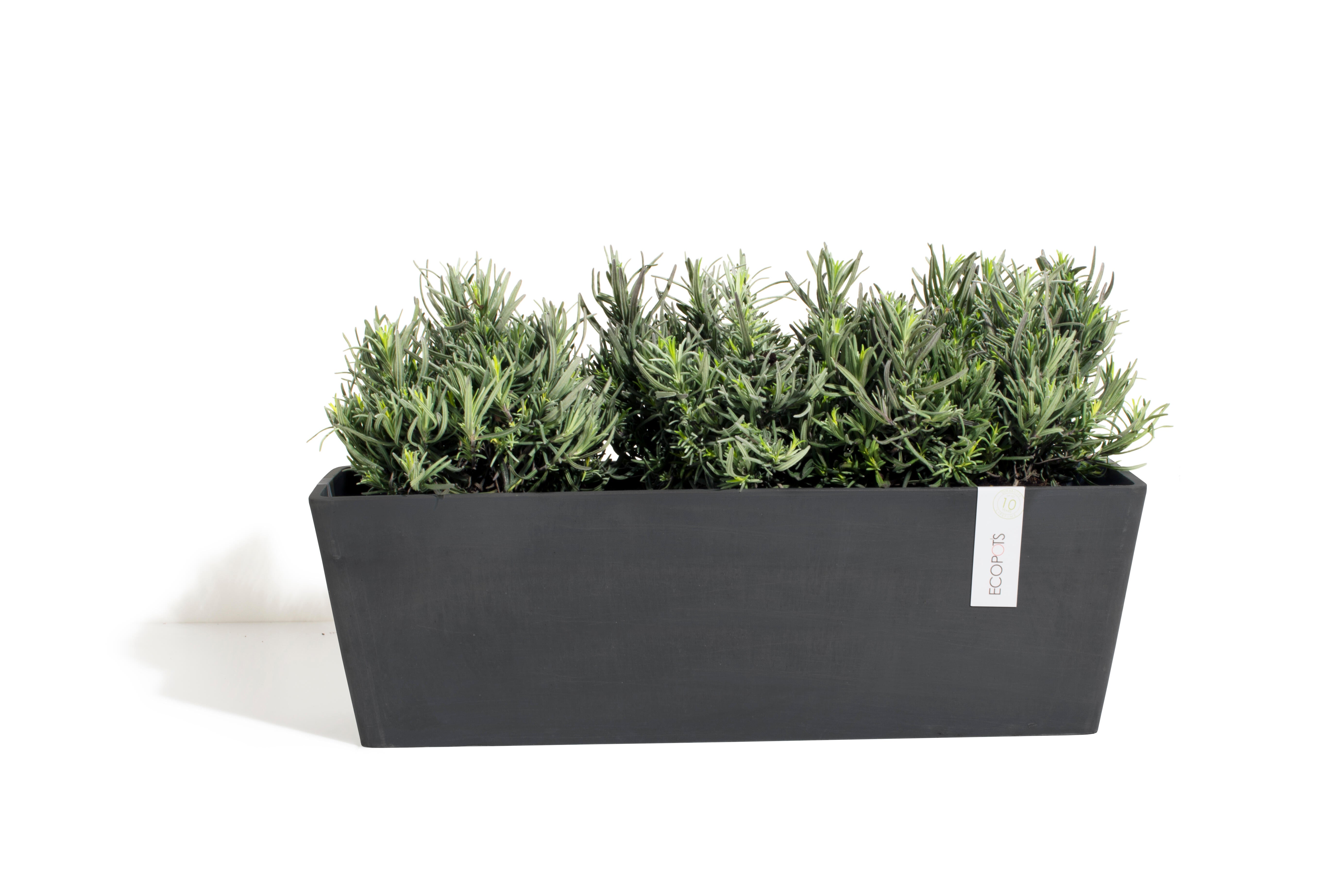 Fioriera Bruges ECOPOT'S in polipropilene antracite H 17 x L 55 x P 17 cm - 5