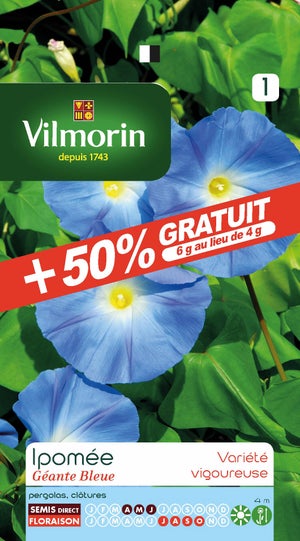 Graines Ipomée Vilmorin Bleu - Grimpante à Grandes Fleurs, 1 Sachet