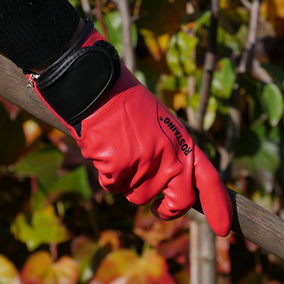 Paire de gants pour travaux de jardinage nitrile, T8 ROSTAING - 2