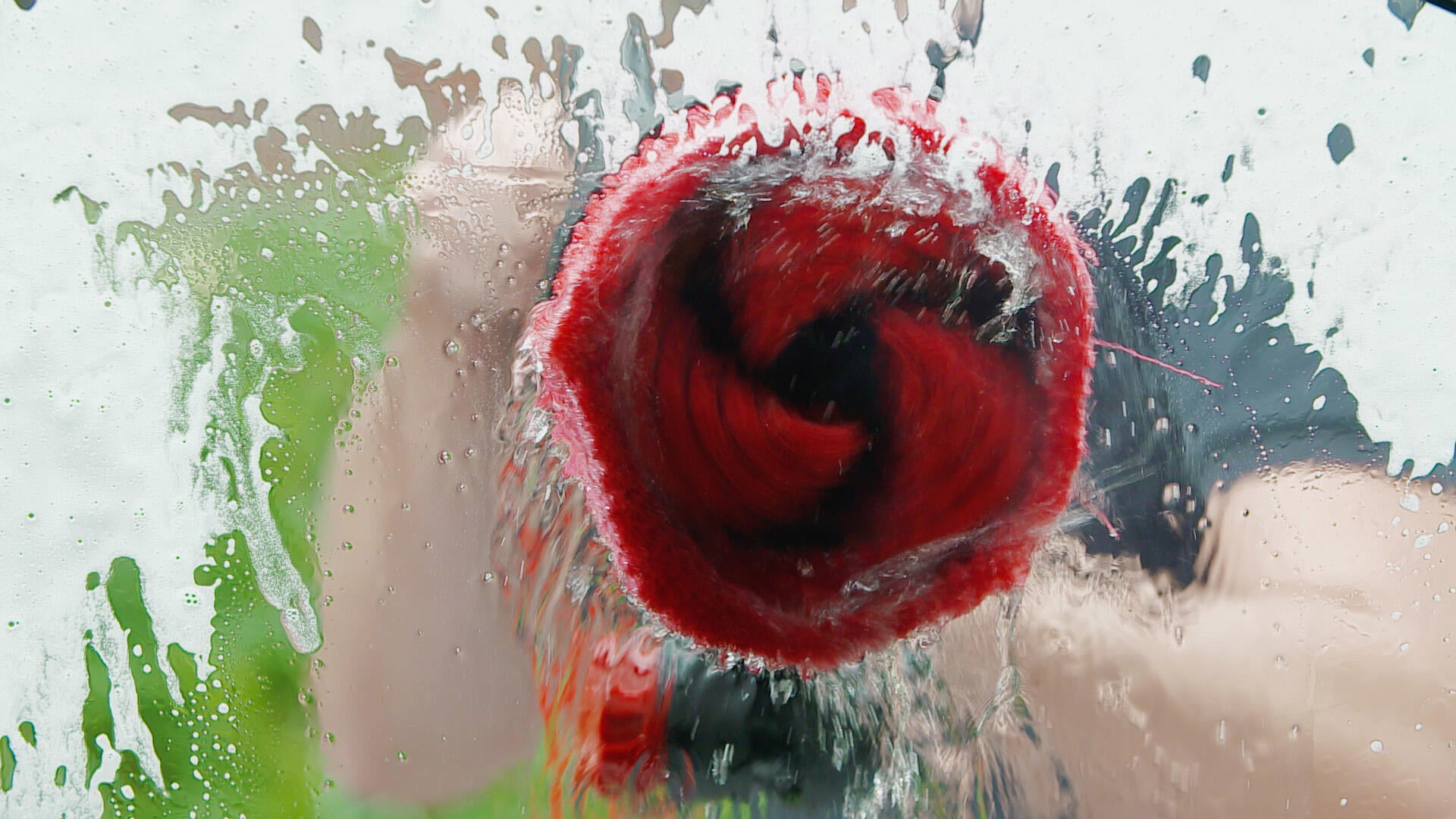 Brosse rotative STERWINS - 3