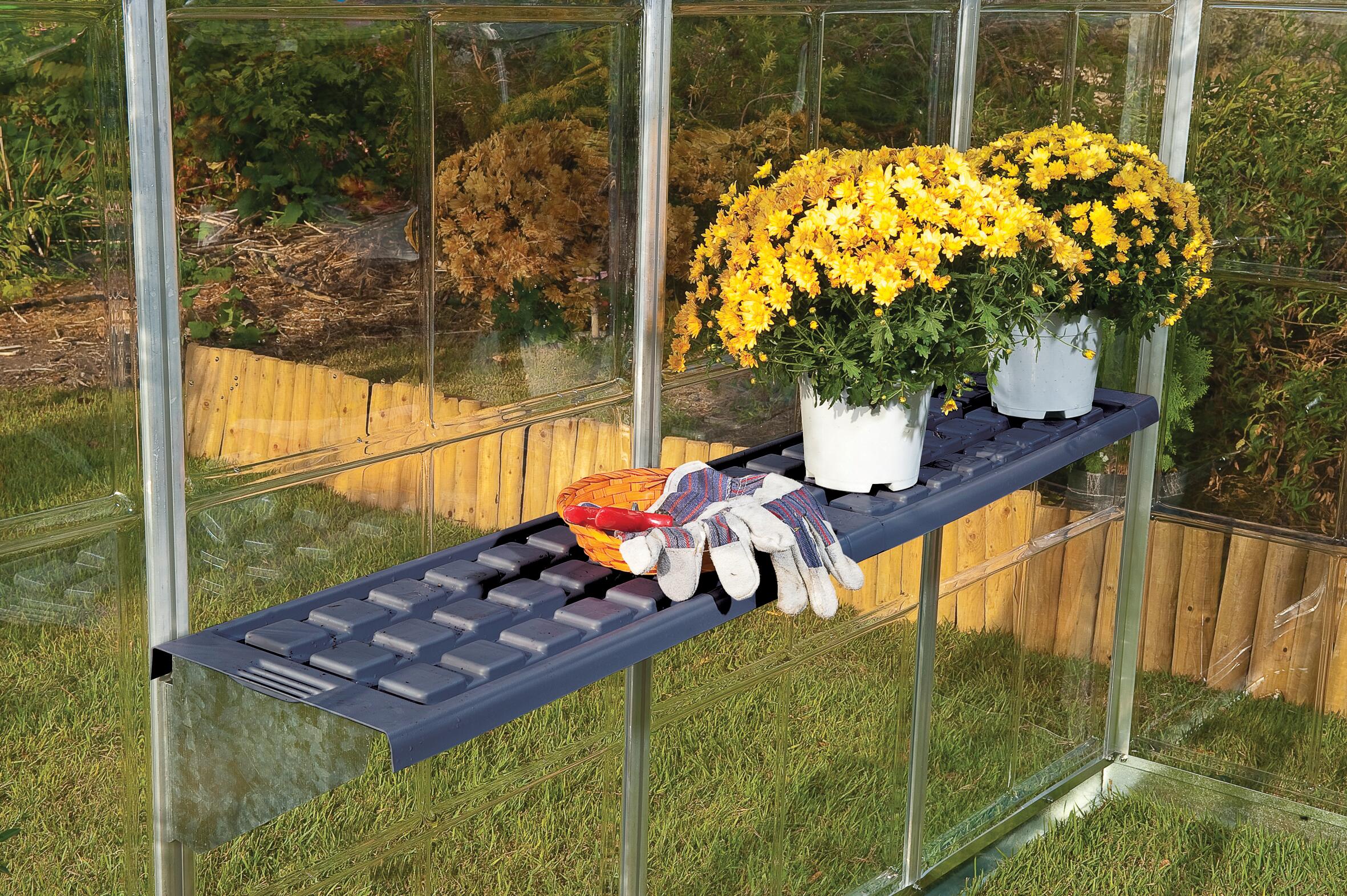 Palram - Canopia | Kit d'étagères pour serre de jardin - 4