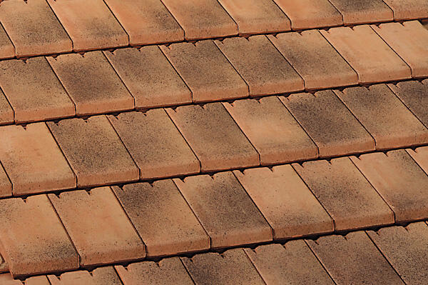 Tuile MONIER terron Regence 20