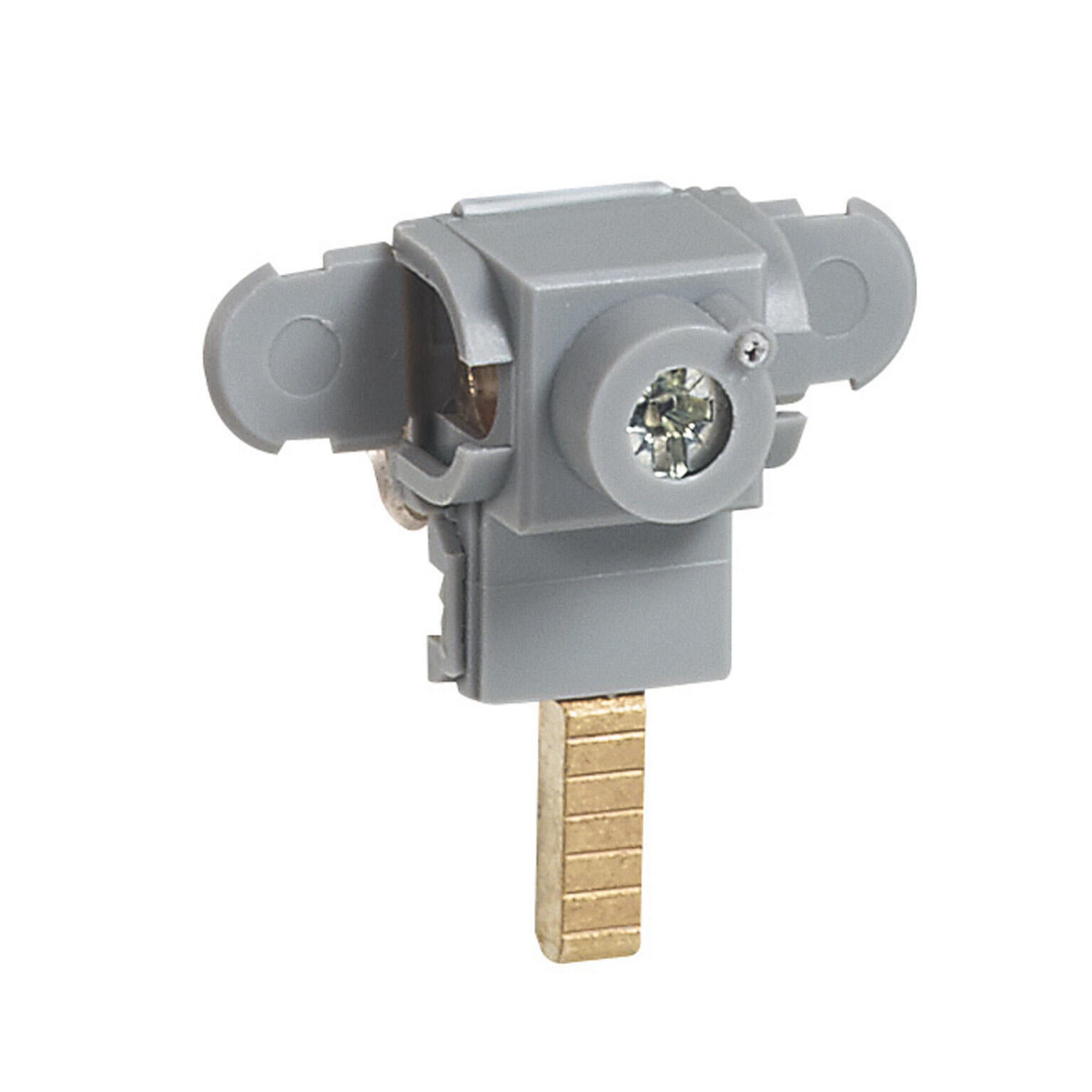 Borne d'alimentation LEGRAND H.60 x l.40 mm - 2