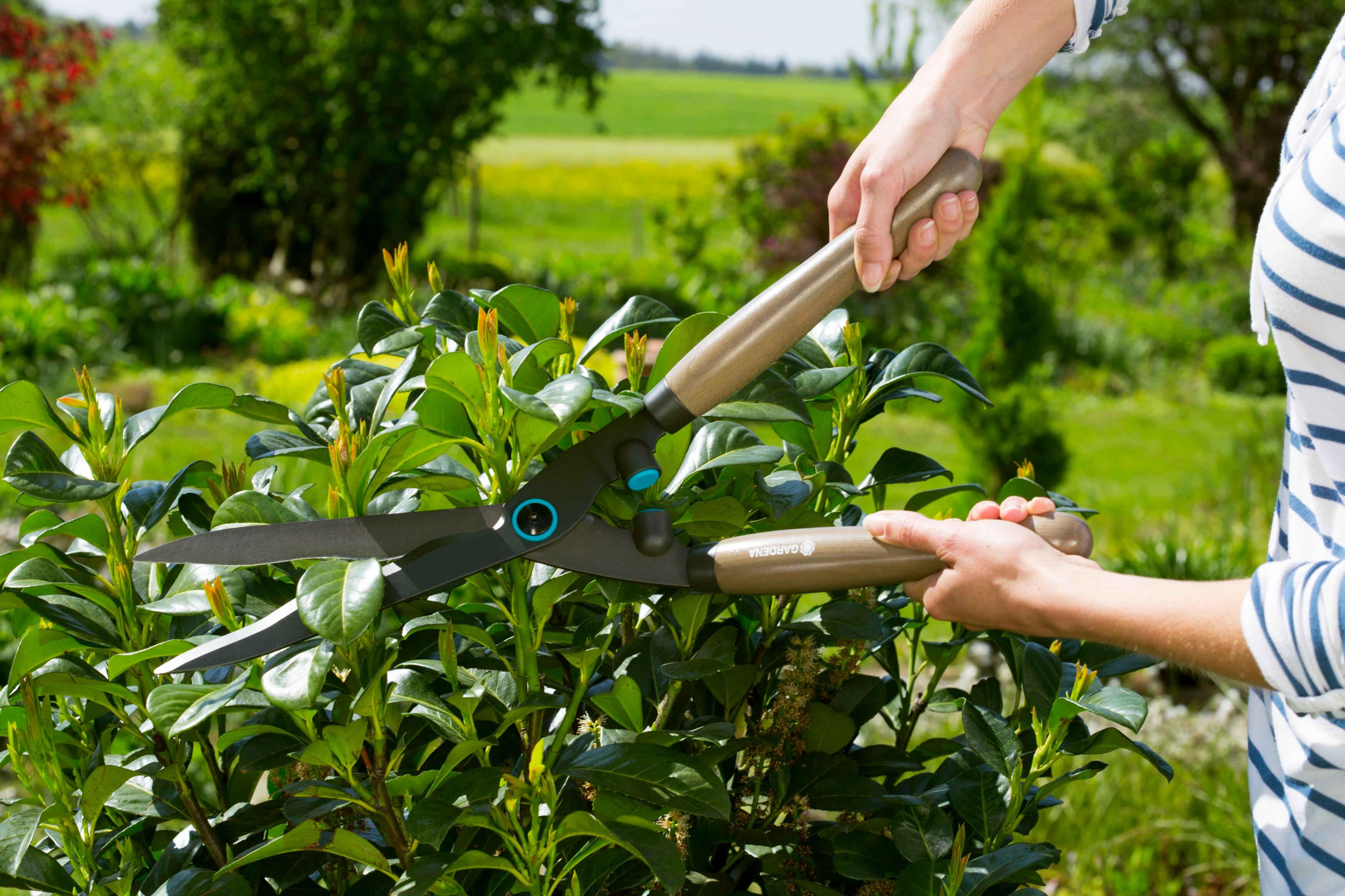 Cisaille à haie GARDENA acier revêtu antiadhérent NatureCut 12300-20 - 7