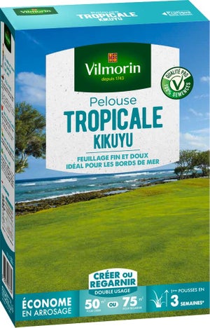 Pelouse tropicale kikuyu VILMORIN, 500 g, 50 m²