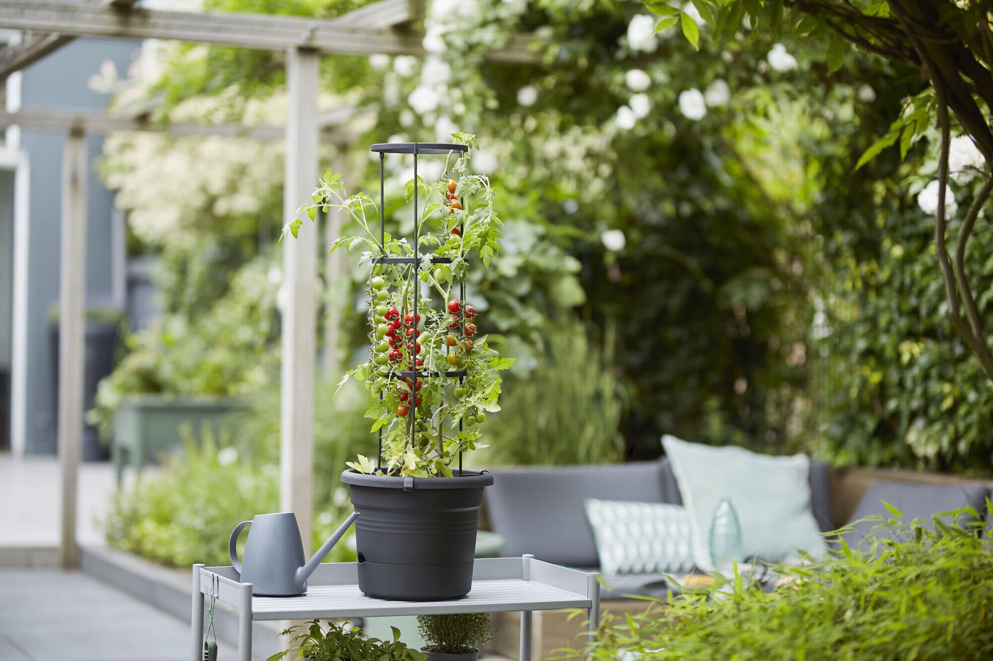 Pot à tomates polypropylène à réserve d'eau ELHO, Diam.33 x H.25 cm living noir - 2