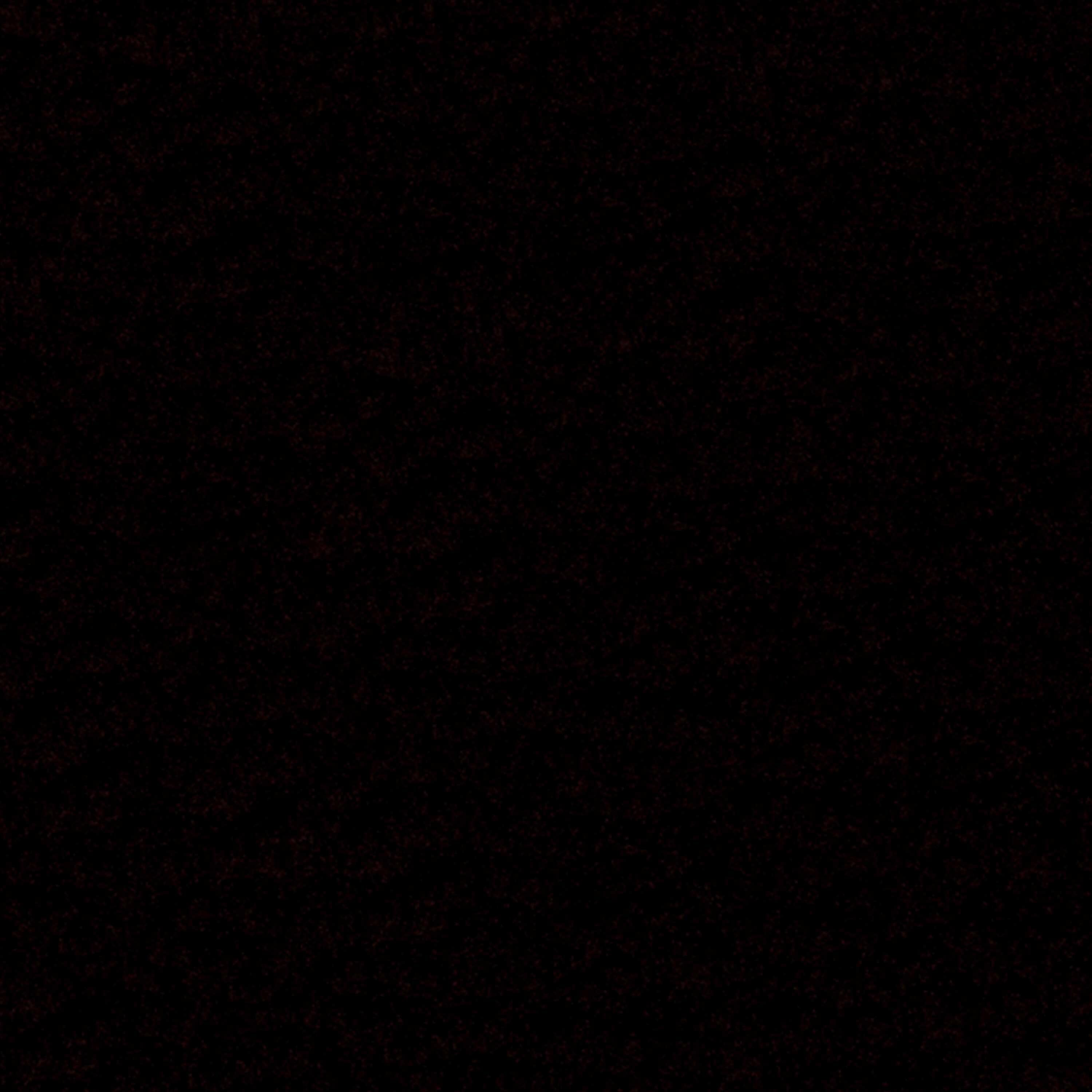 Peinture extérieure fer HAMMERITE noir ferronnerie mat 250ml - 2