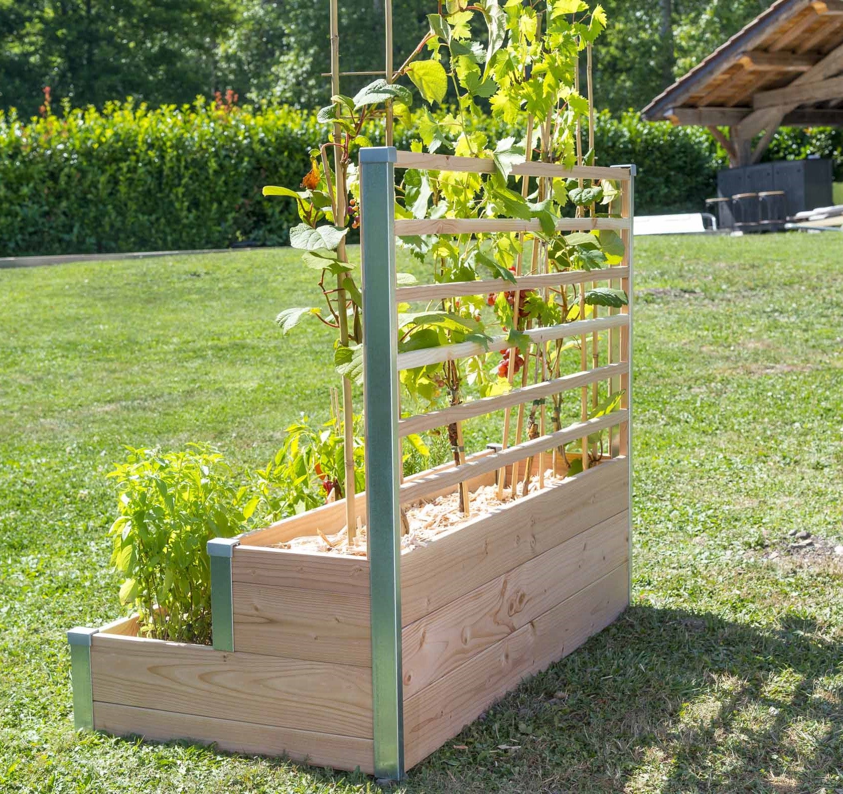 bois Design 2 étages l.120 x H.100 cm MON PETIT POTAGER - 4