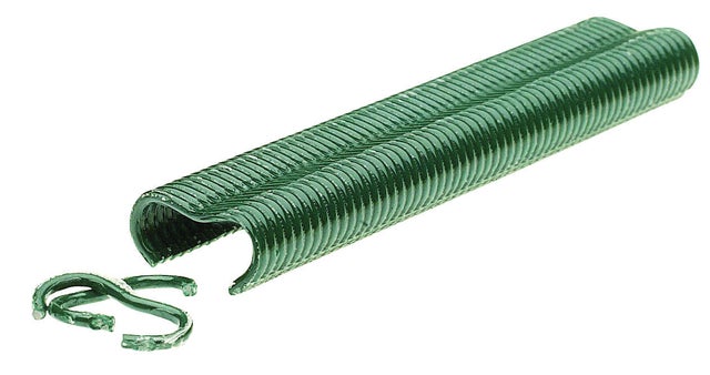 Lot de 1100 agrafes vertes pour grillage RAPID Vr22