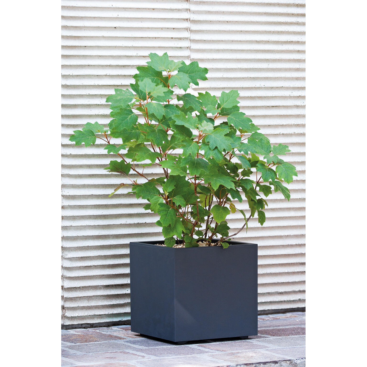 Pot de fleur carré DEROMA L. 39 x l. 39  x H.39.1 cm gris - 3