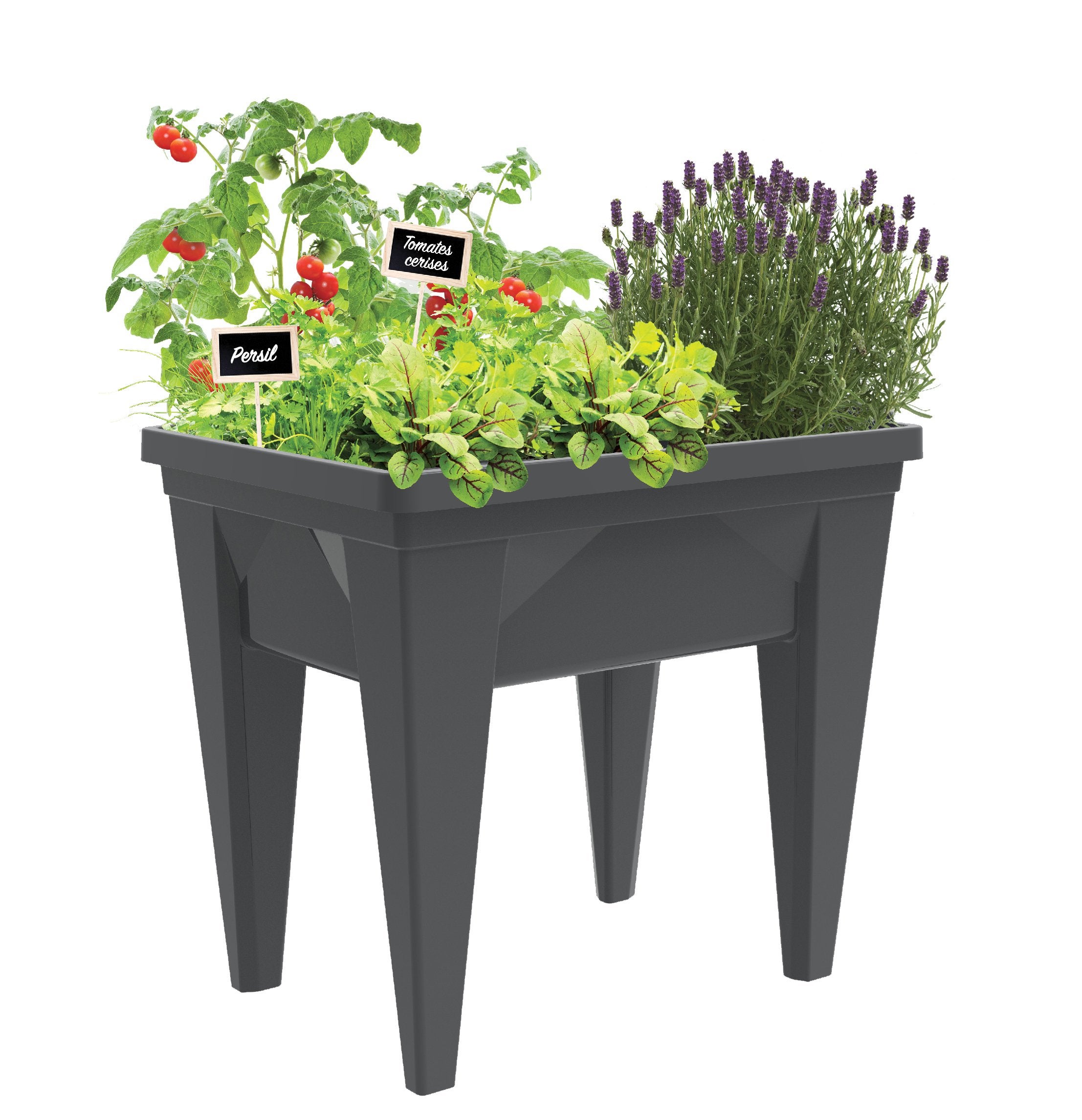 Potager sur pied polypropylène 13925 g.ant l.75.6 x H.68 cm EDA PLASTIQUES - 2