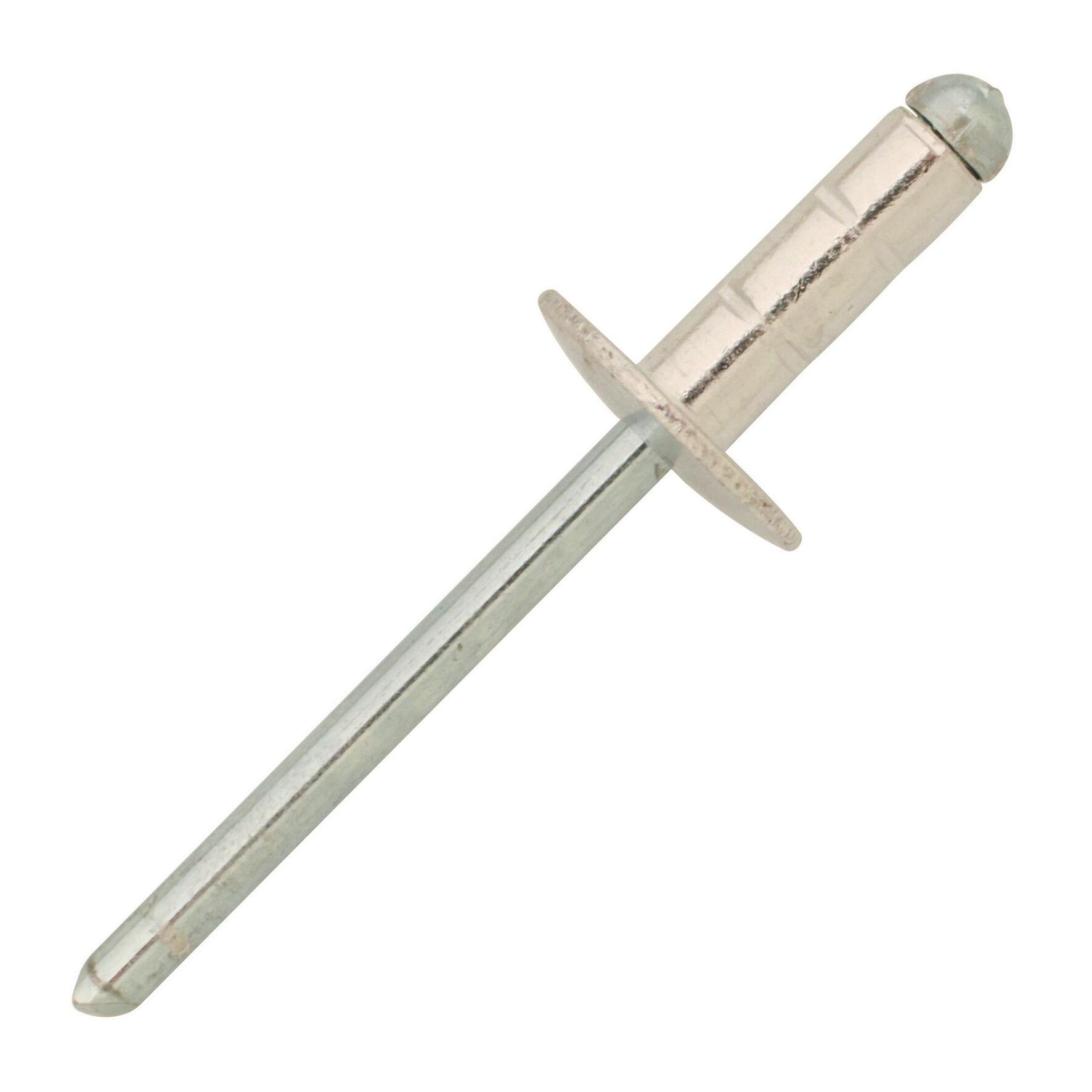 Rivetti in acciaio L 17 x H 4.8 mm Ø 4.8 mm 10 pezzi | Leroy Merlin