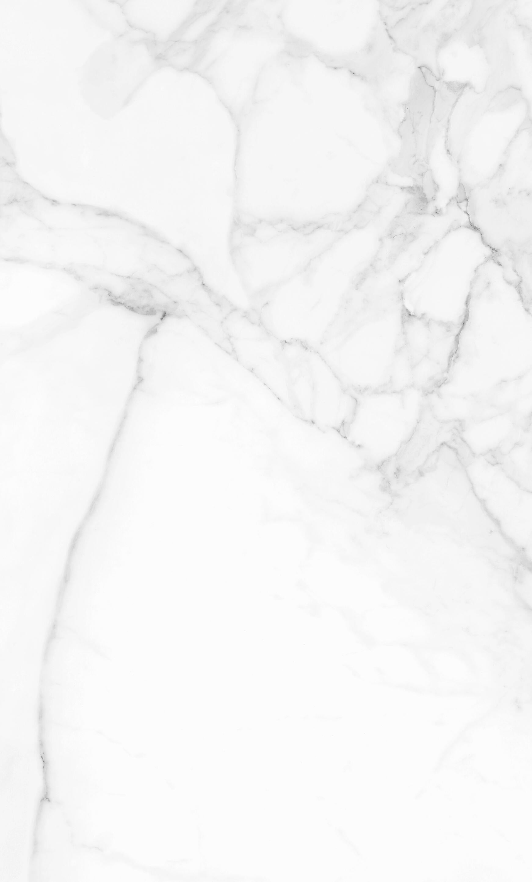 Dalle murale PVC Calacatta DUMAWALL, L.65 x l.37.5 cm, Ep.5 mm - 3
