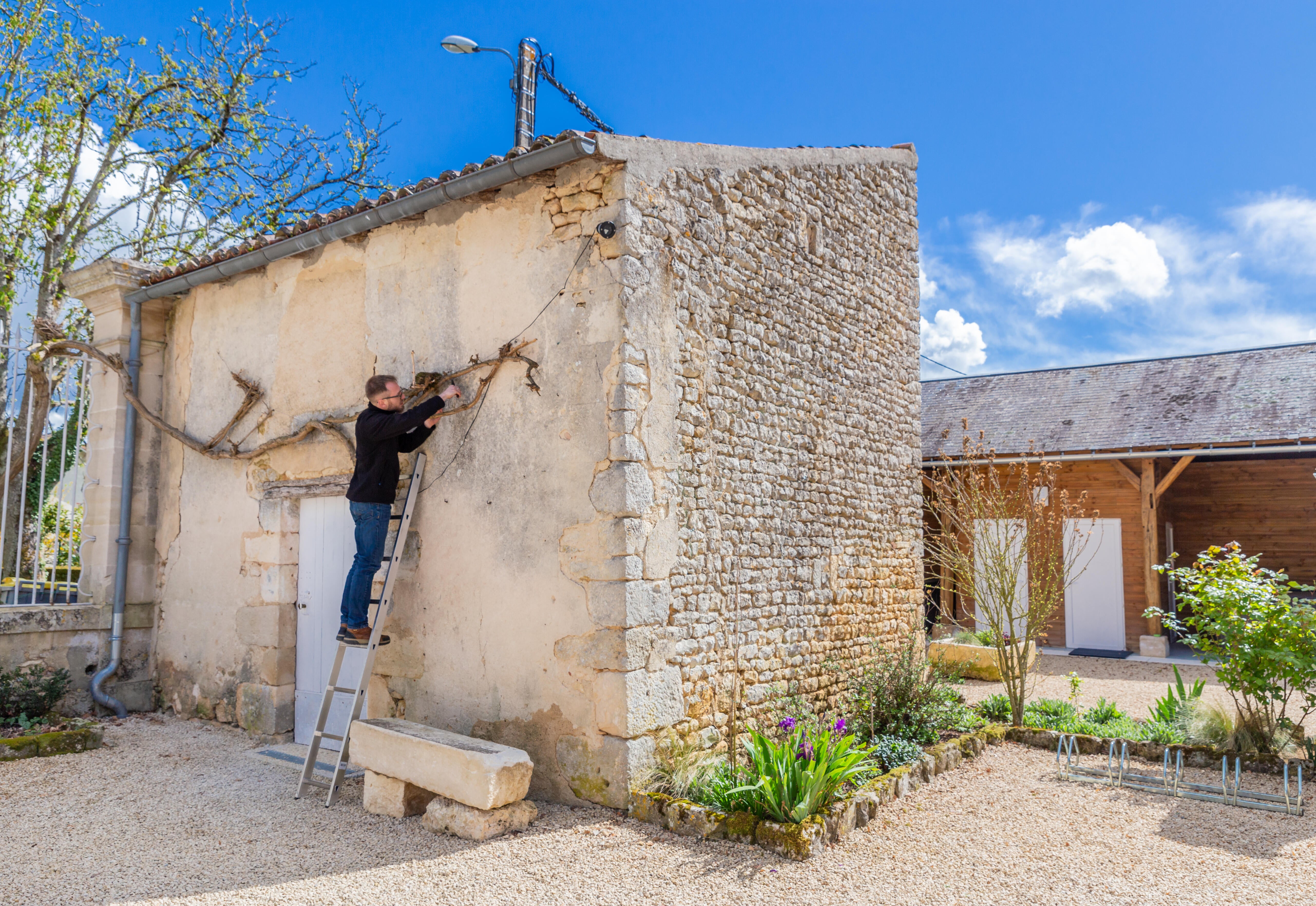 Echelle aluminium HAILO 8 marches - 2