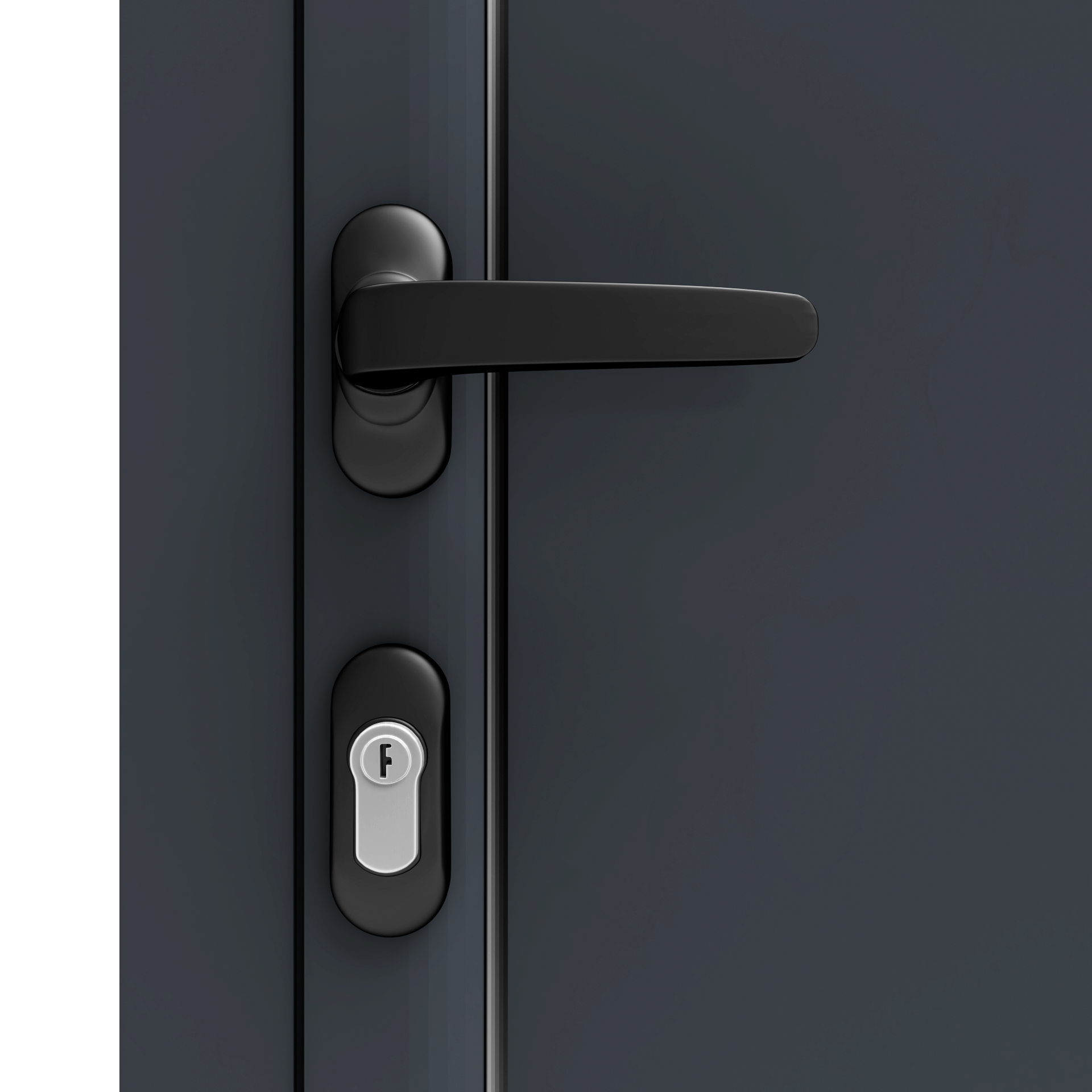 Porte service Alu TRYA H.200 x l.80 cm vitrée gris anthracite, poussant droit - 9