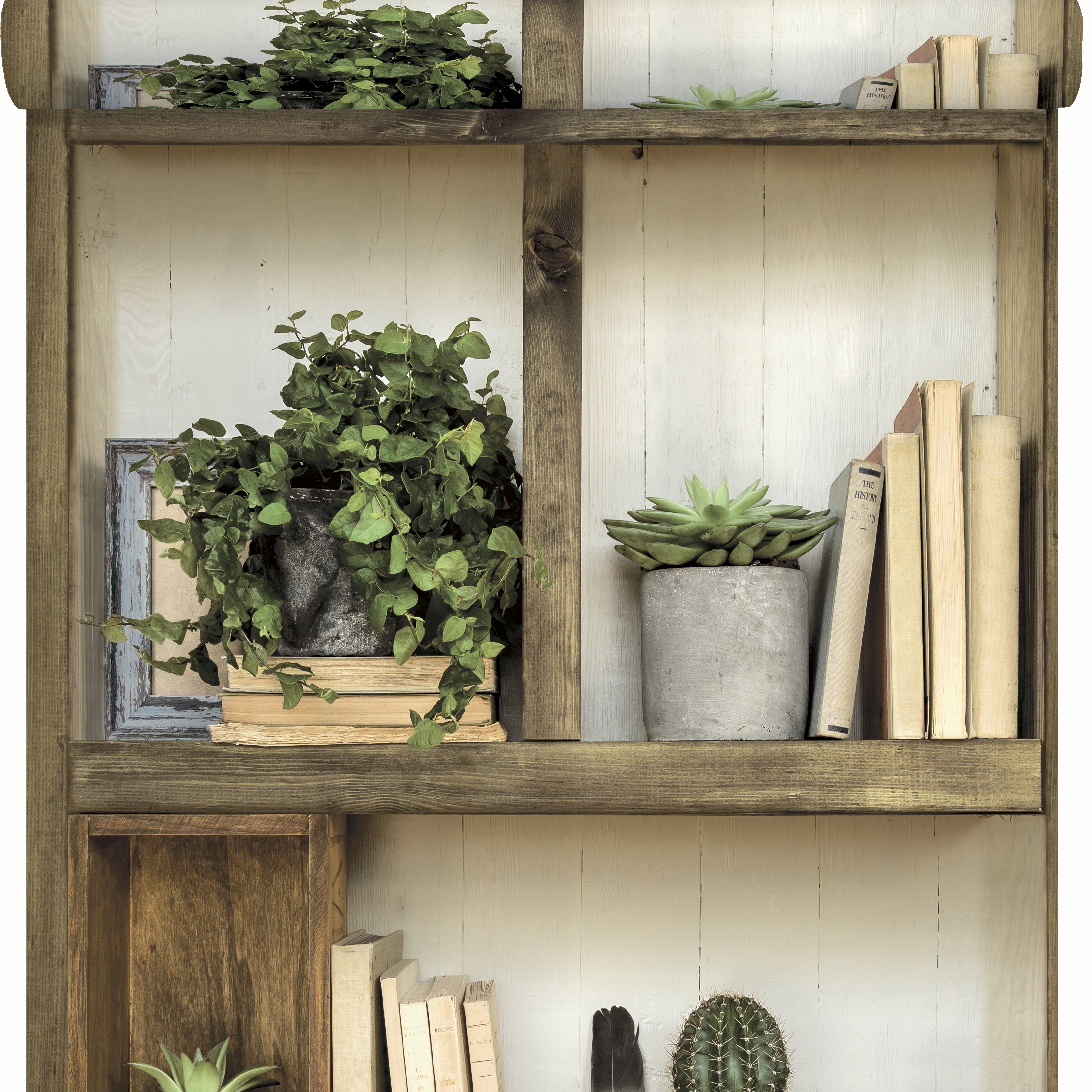 Papier peint intissé Reality étagère cactus bois - 2