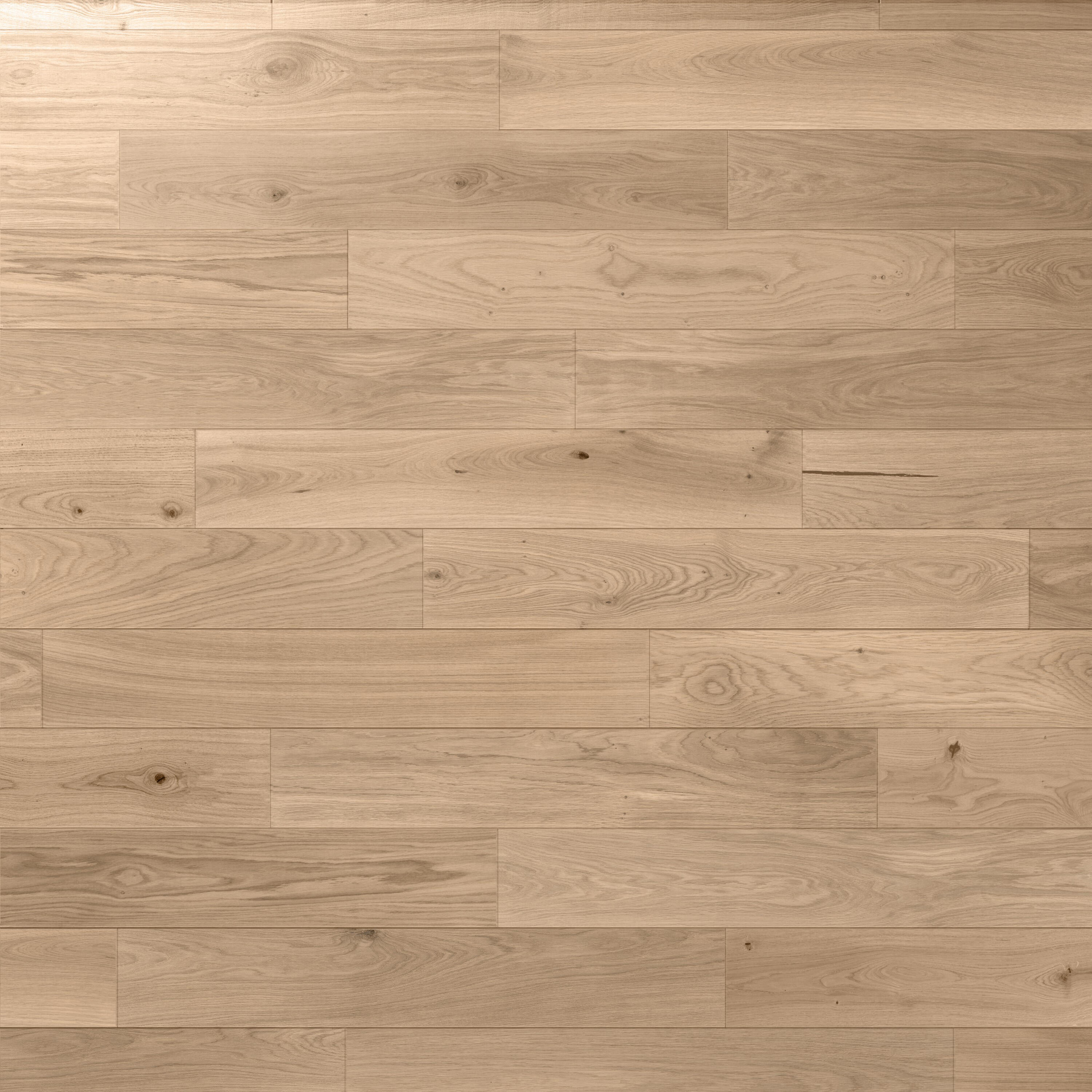 Echantillon Parquet forte chêne naturel huilé XL - 3