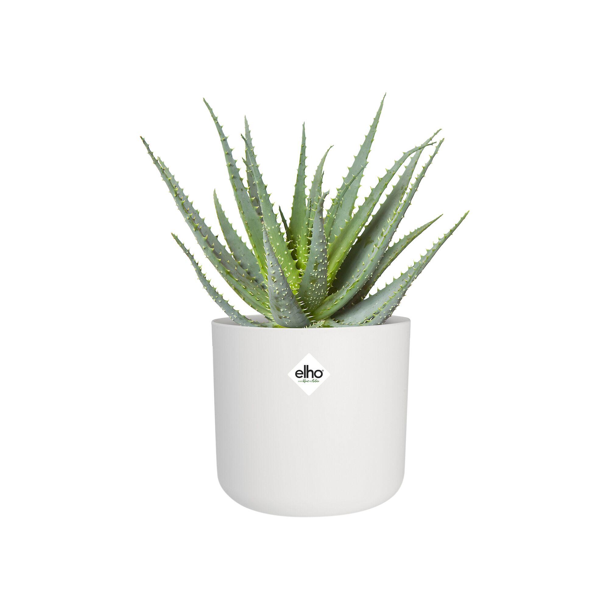 Cache-pot plastique ELHO Diam.18.3 L.18.3 x l.18.3 x H.16.8 cm blanc - 6