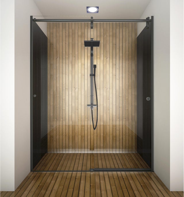 Porte de douche coulissant transparent, noir l.180 cm, Ellipse