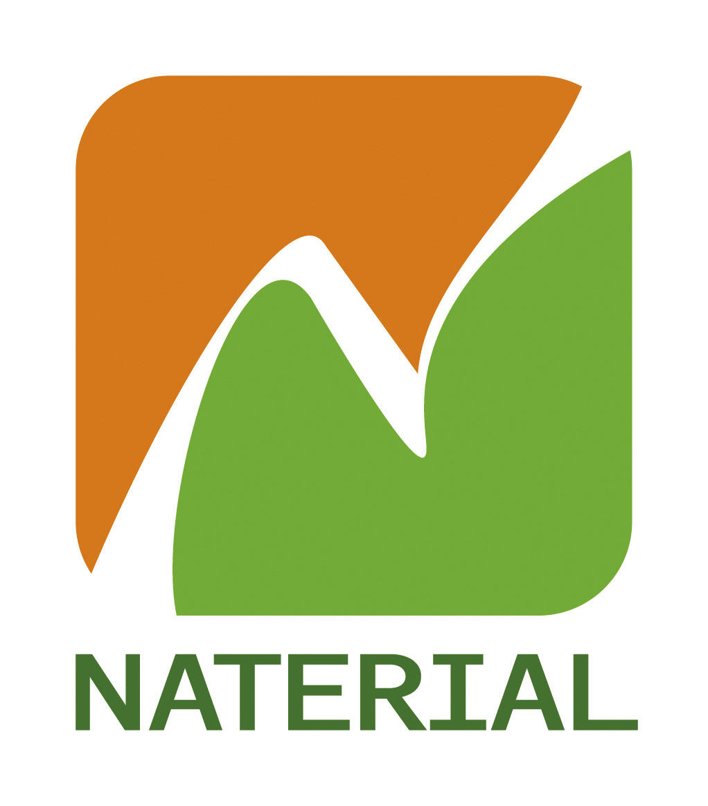 Store banne manuel 2.95 x 2 m Nori S gris, toile acrylique gris - 13