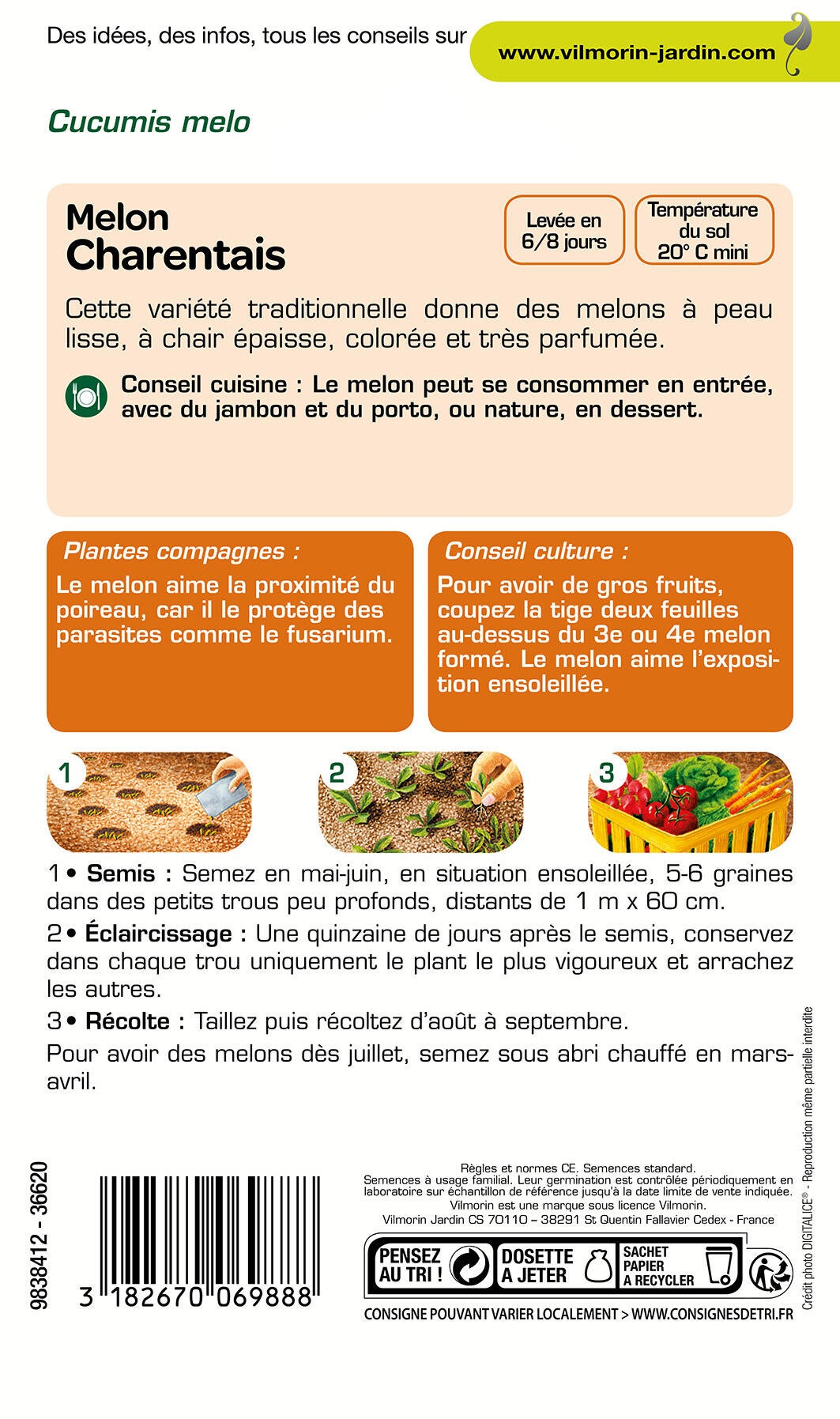 Graines de melon VILMORIN 3 g - 2