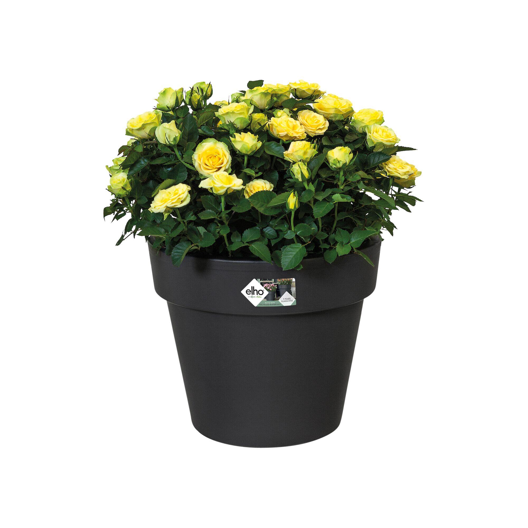Vaso Green Basics ELHO in polipropilene nero H 19.6 x ø 23 cm - 4
