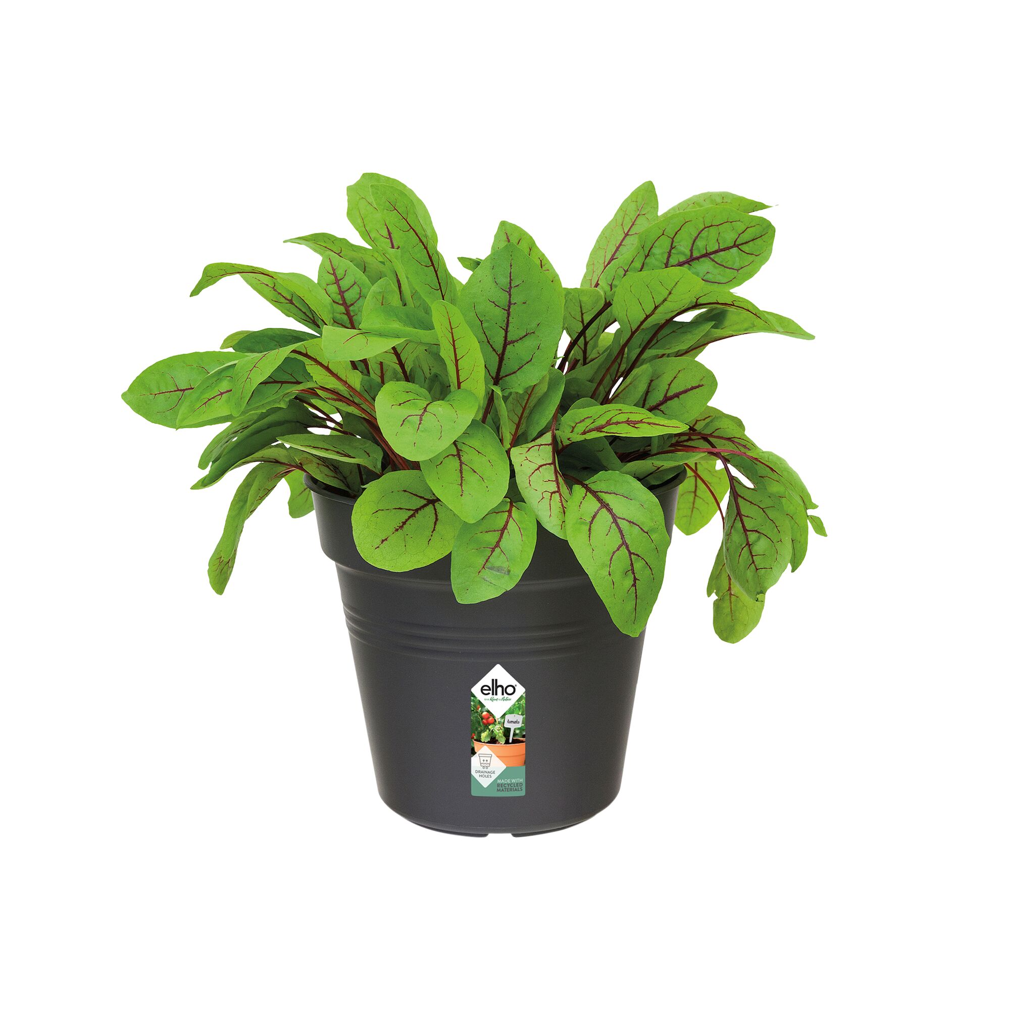 Vaso Basics Growpot ELHO in polipropilene nero H 17.4 x ø 19 cm - 3
