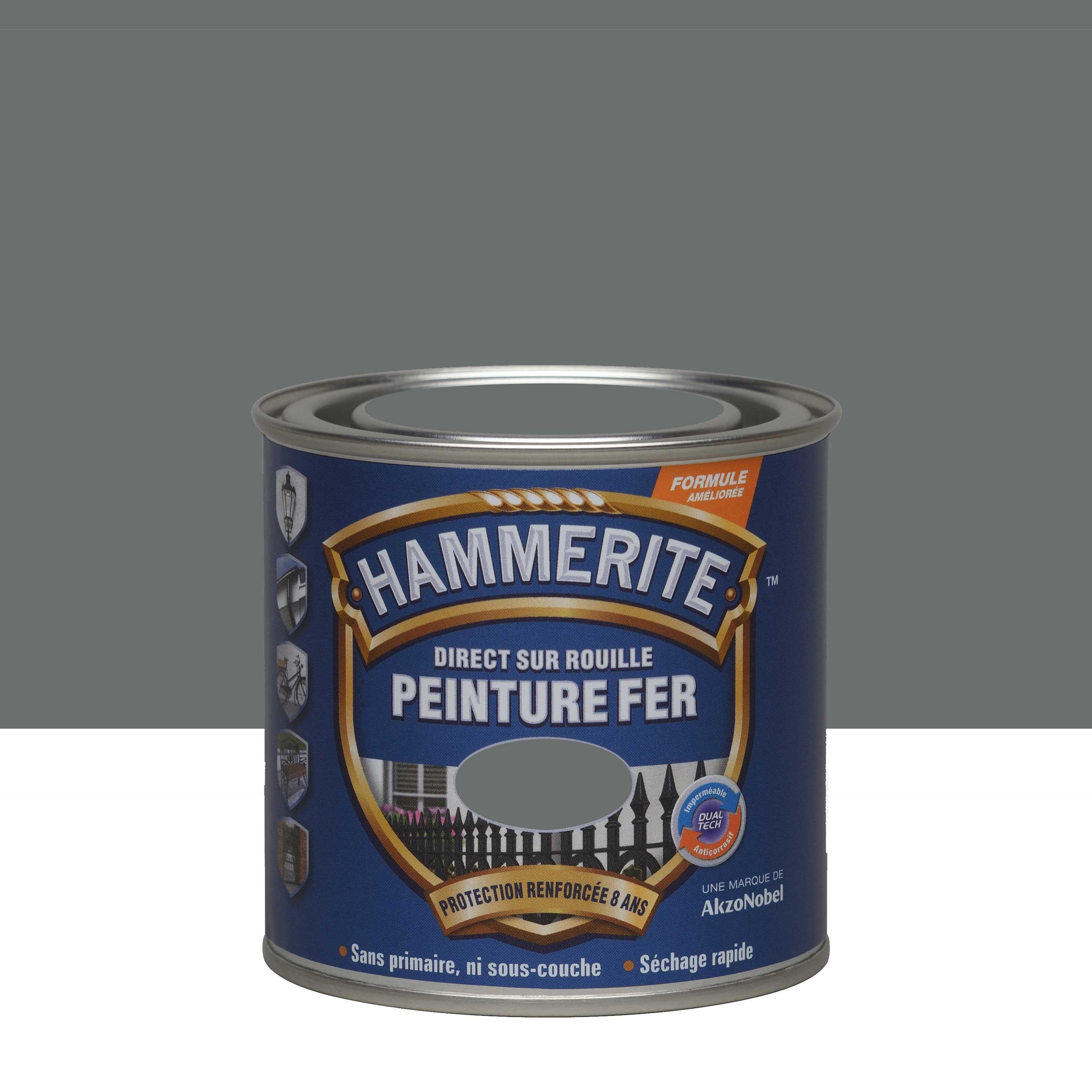 Peinture extérieure fer Martelé HAMMERITE gris ardoise mat 250ml - 4
