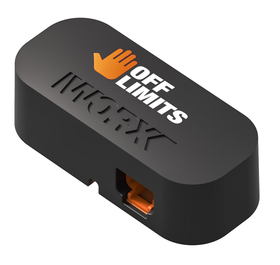 Module de limite de surfaces Off-Limits WORX - WA0863 (pour WORX LANDROID) - 5