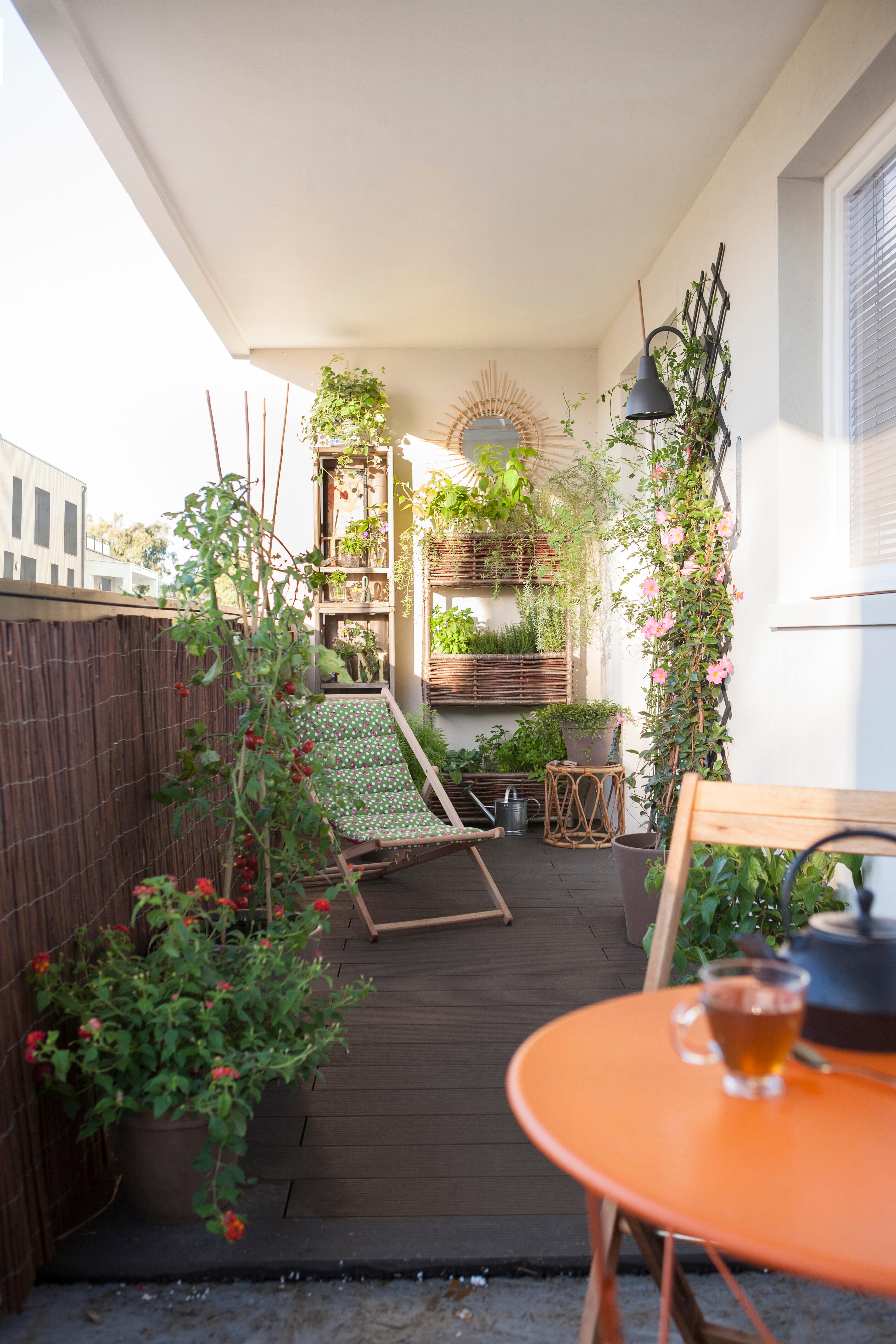 2 supports à piquer bambou droit H.1.5 m NORTENE - 2