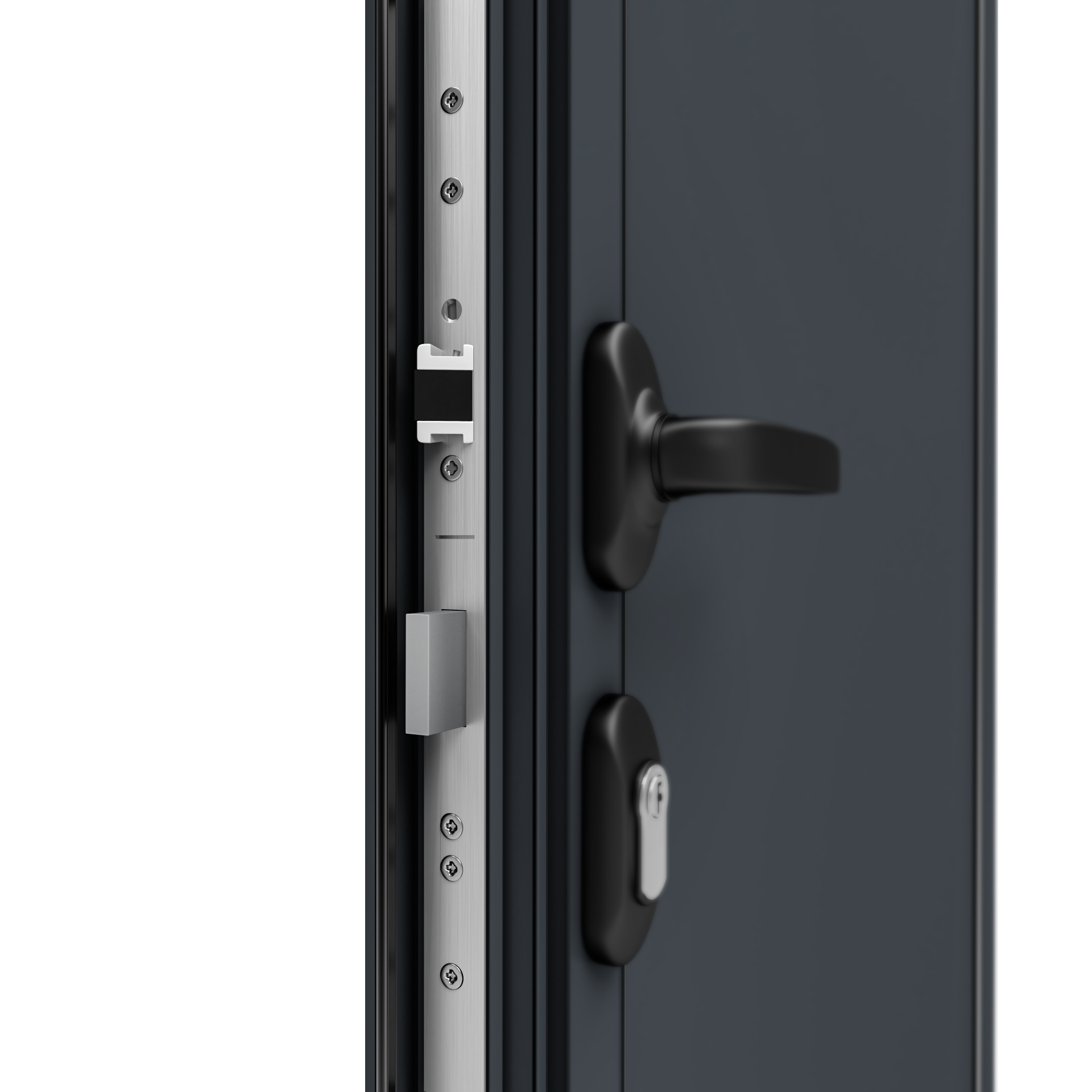 Porte service Alu TRYA H.200 x l.80 cm vitrée gris anthracite, poussant droit - 8