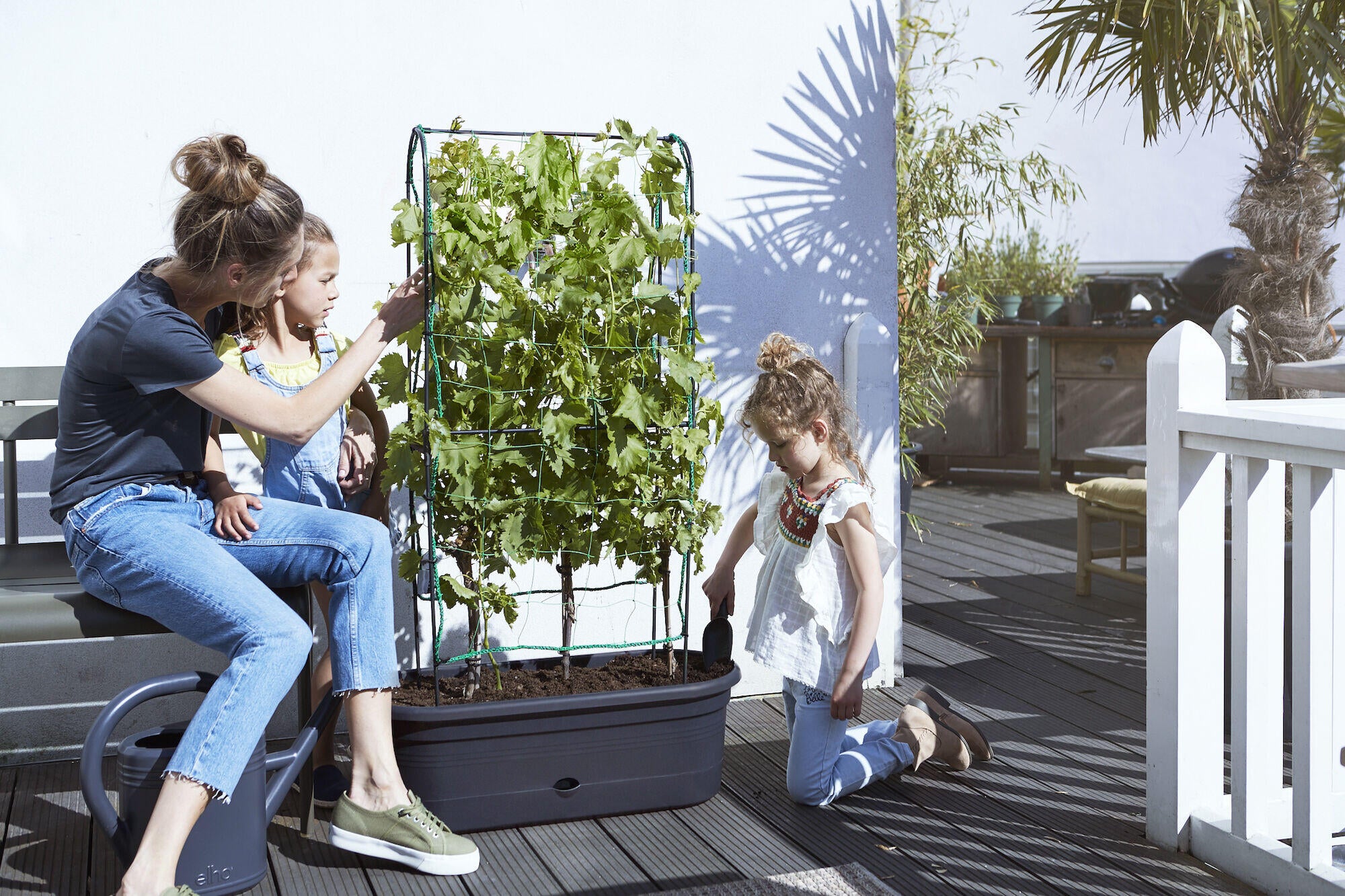GREEN BASIC VEGGIE WALL 80 NOIR ELHO - 3