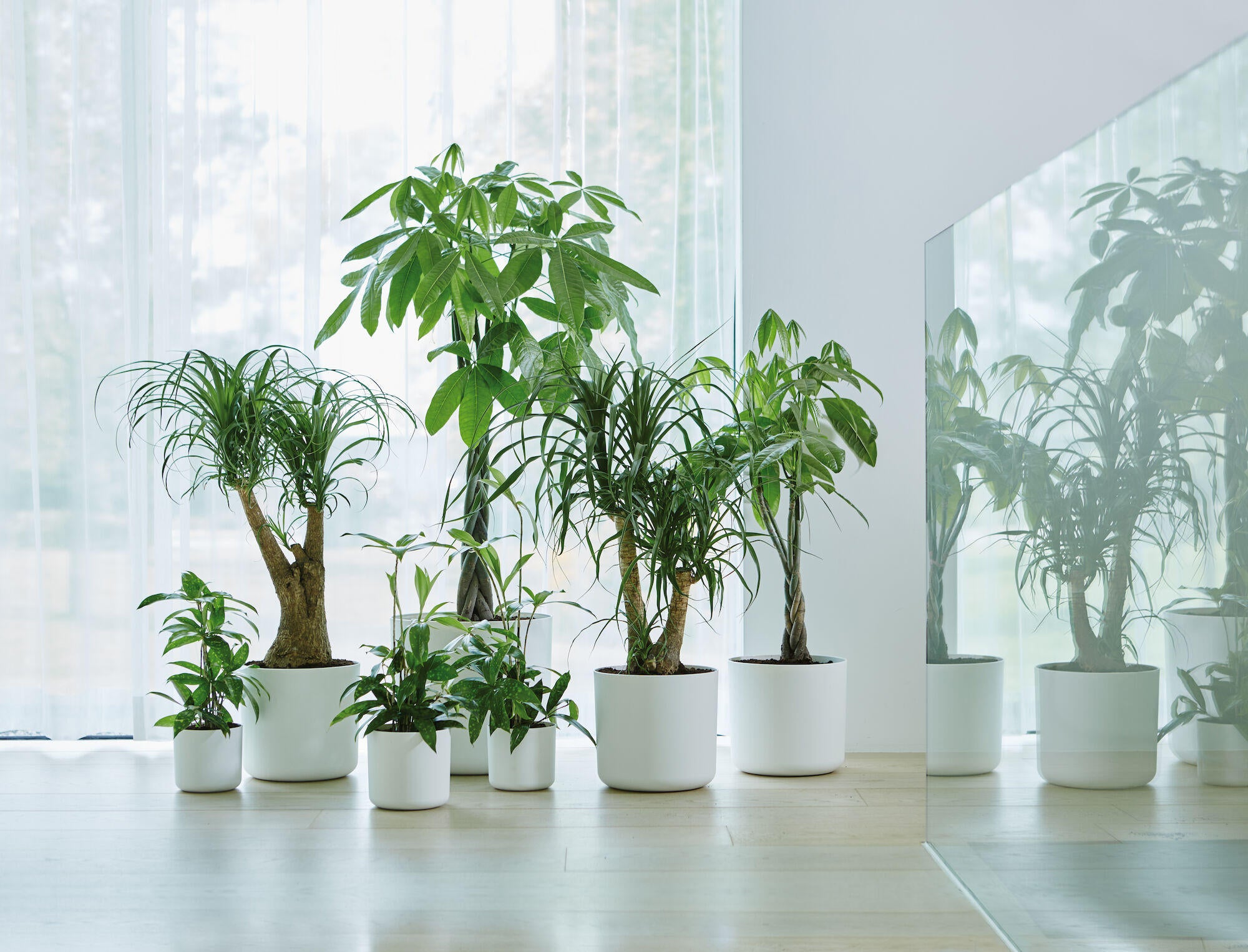 Coprivaso per piante e fiori B.for Soft Round ELHO in polipropilene bianco H 32.3 cm Ø 35 cm - 2