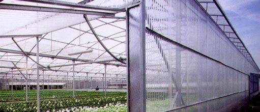 Plaque de toiture petite onde pvc translucide l.0.9m x L.2.5 m