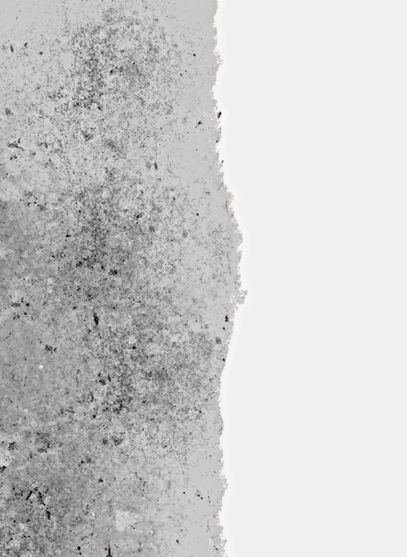 Sous-couche mur anti humidité blanc RIPOLIN blanc 0.75 l - 2