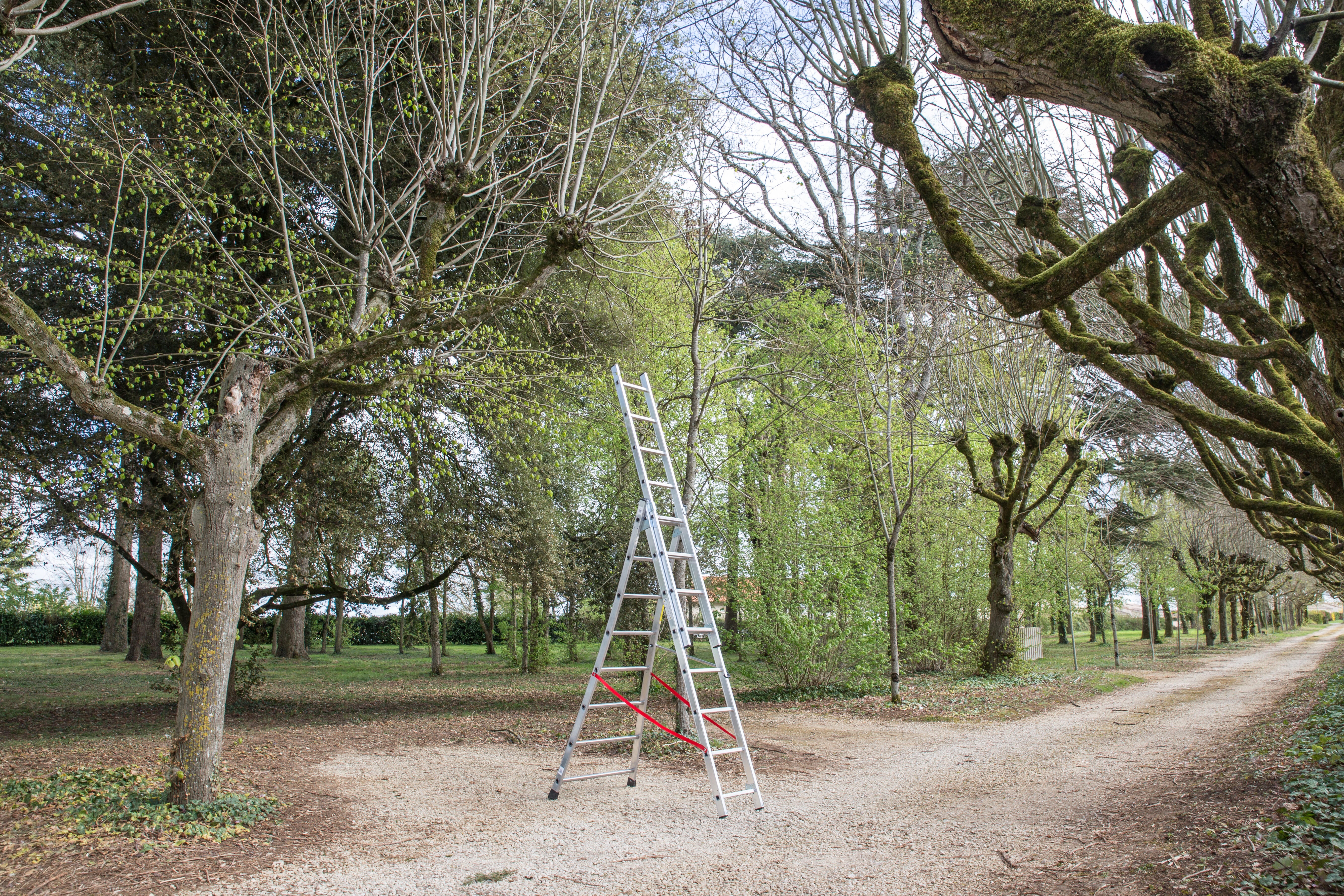 Echelle transformable aluminium HAILO 24 marches - 4