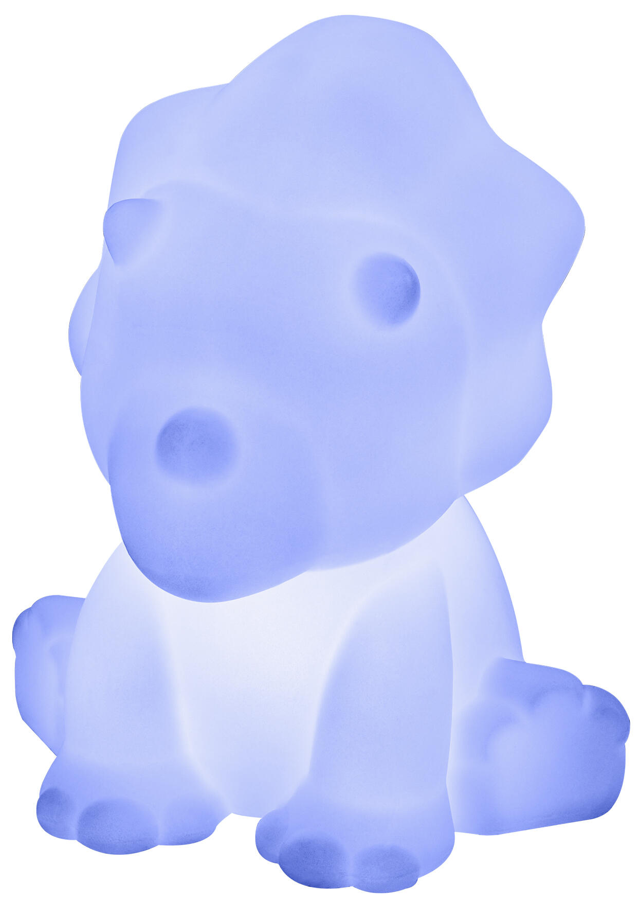 Batterie rechargeable  - 6