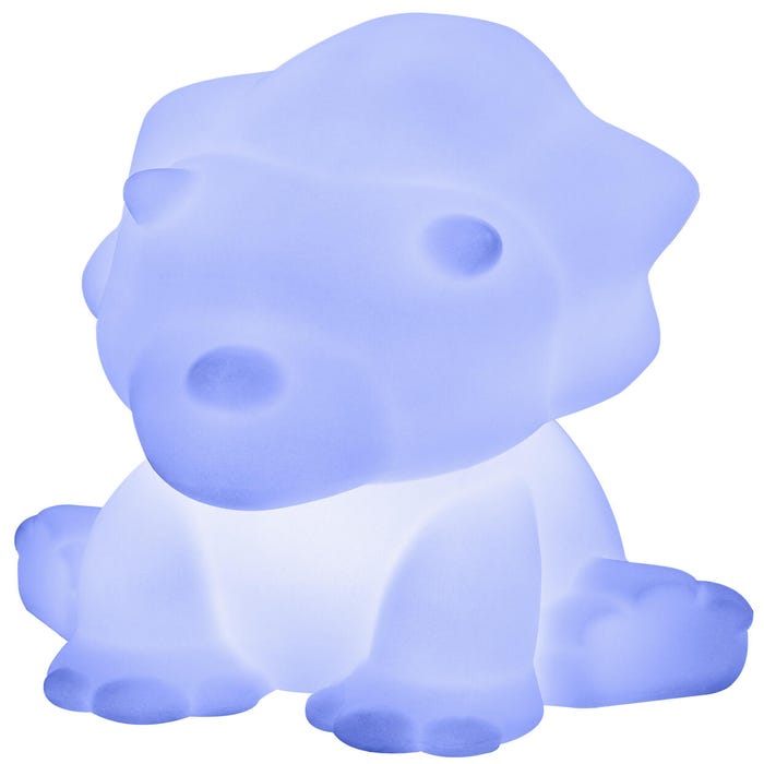 Batterie rechargeable 