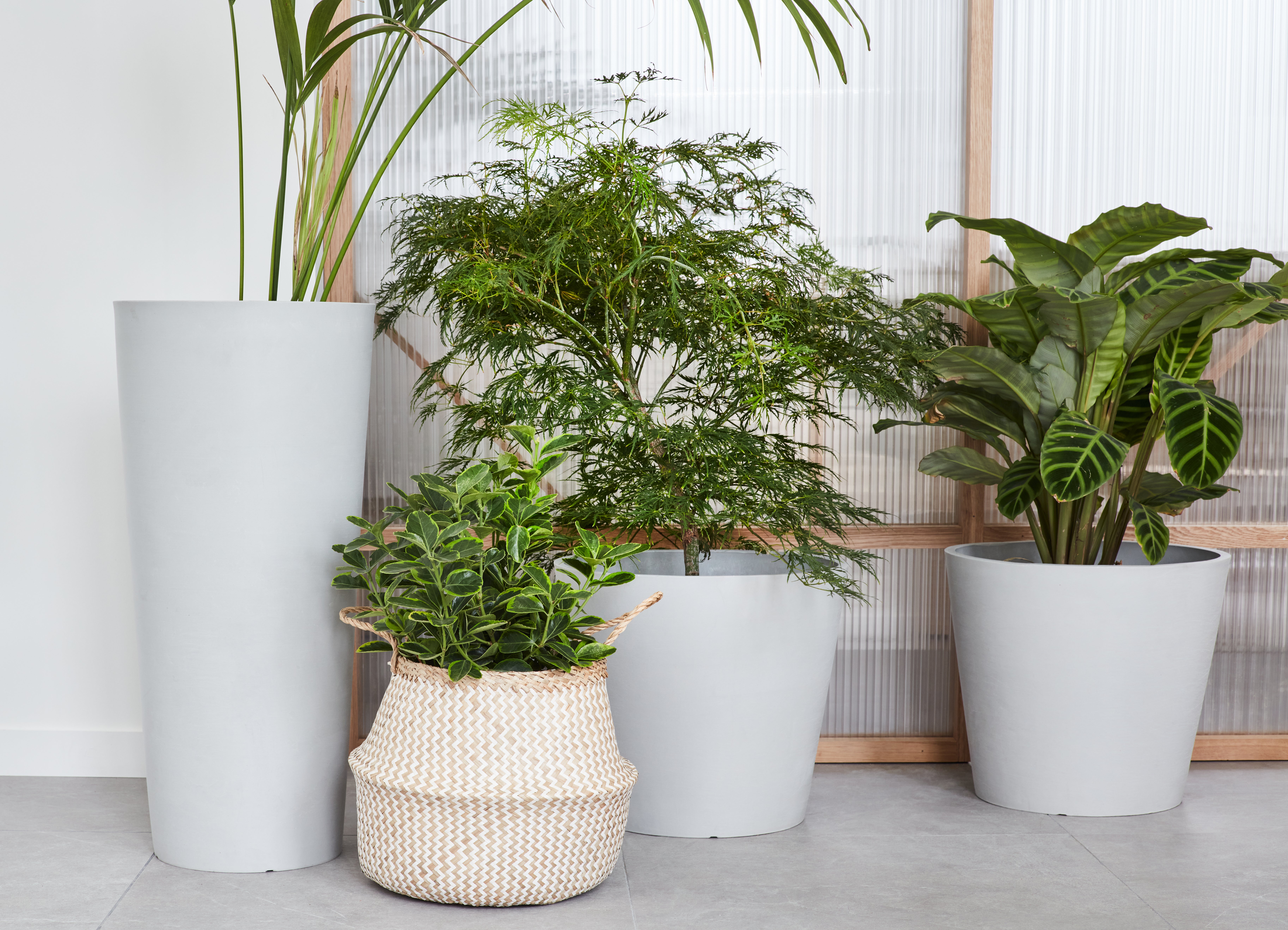 Vaso Amsterdam ECOPOT'S in polipropilene grigio chiaro H 70 x ø 32 cm - 4