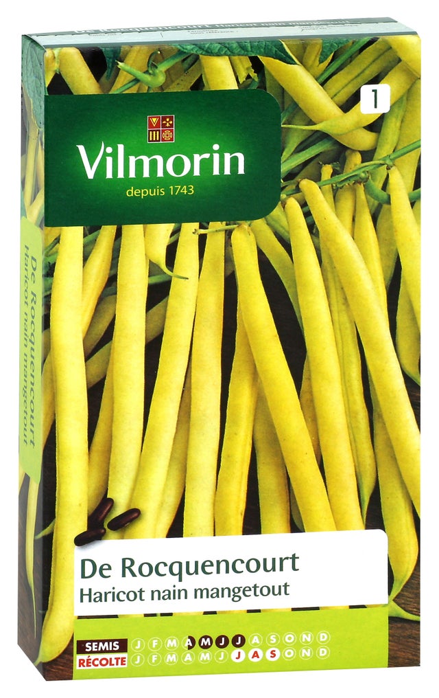 Graines de haricot VILMORIN 250 g
