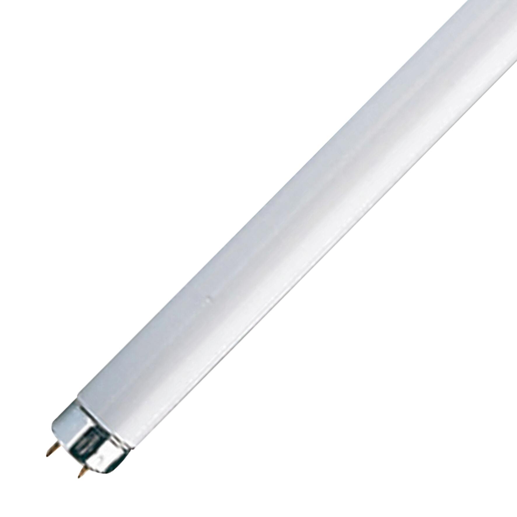Tubo luminoso Fluo Osram, Fluorescente, G13 opaco, luce calda, 18W= 1350 LM (equiv 18 W), 360°, OSRAM - 8
