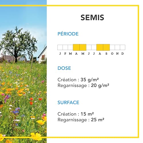BARENBRUG - Pelouse Ambiance Bucolique - Très Facile d'Entretien - Évolue au Fil des Saisons - Excellente Pérennité - 500G - 4