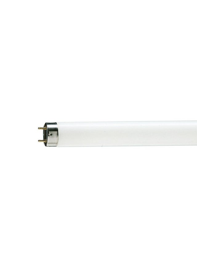 Philips tubo fluorescente 36w L.120cm luce bianchissima 3633 T8