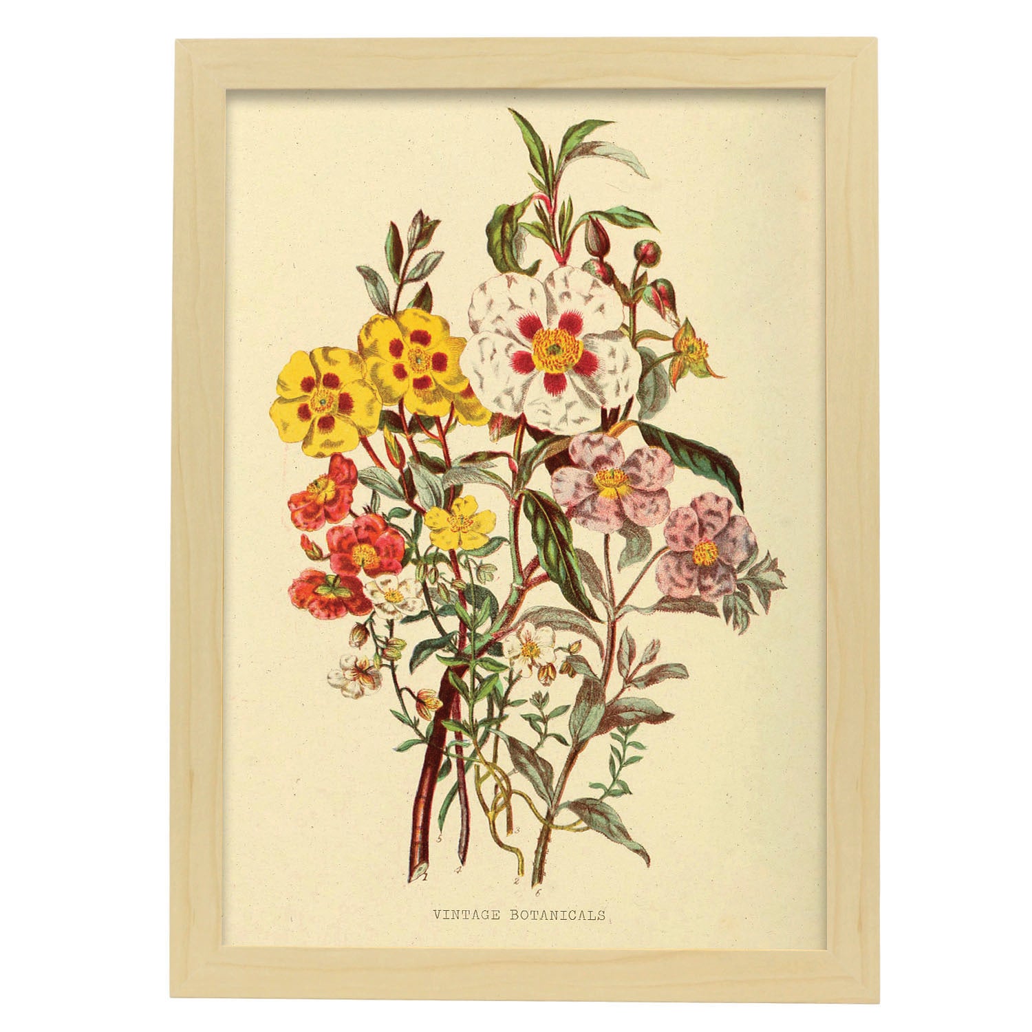 Chemise Kappa Le Mans 2004-2005 – Rare, Vintage, Taille M, Maison